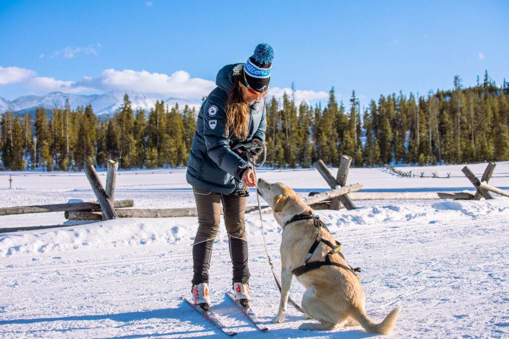 Dog takes treat from woman
