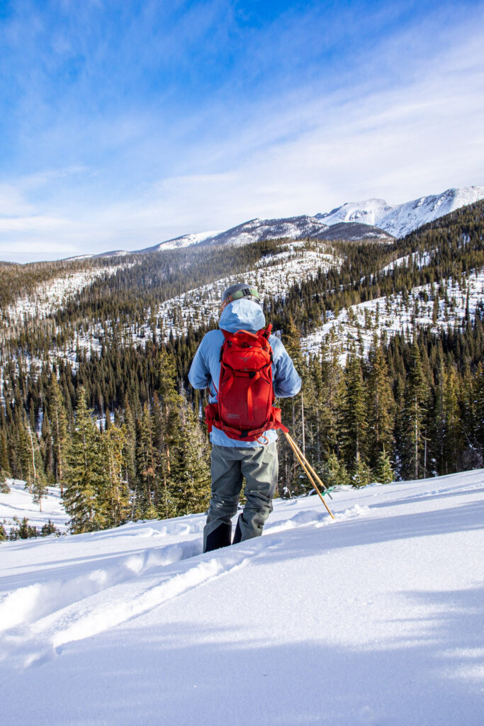 Skier looks out at snowy mountain landscape