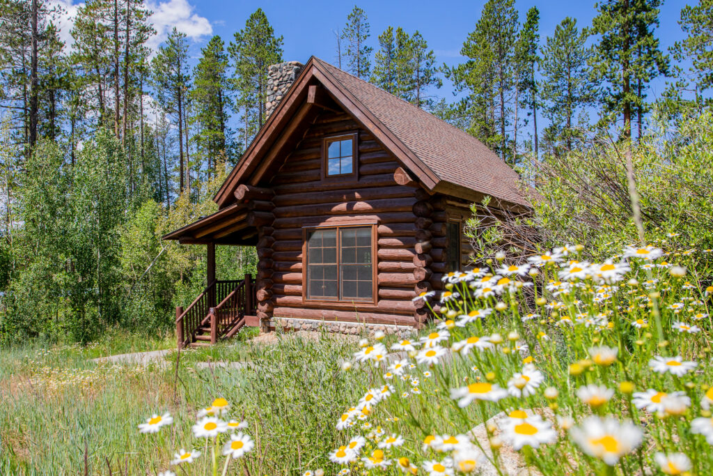 Willow log cabin exterior with daisies blooming