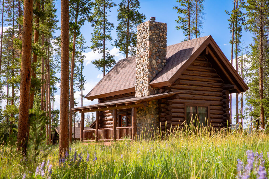 Ouray 1-bedroom log cabin
