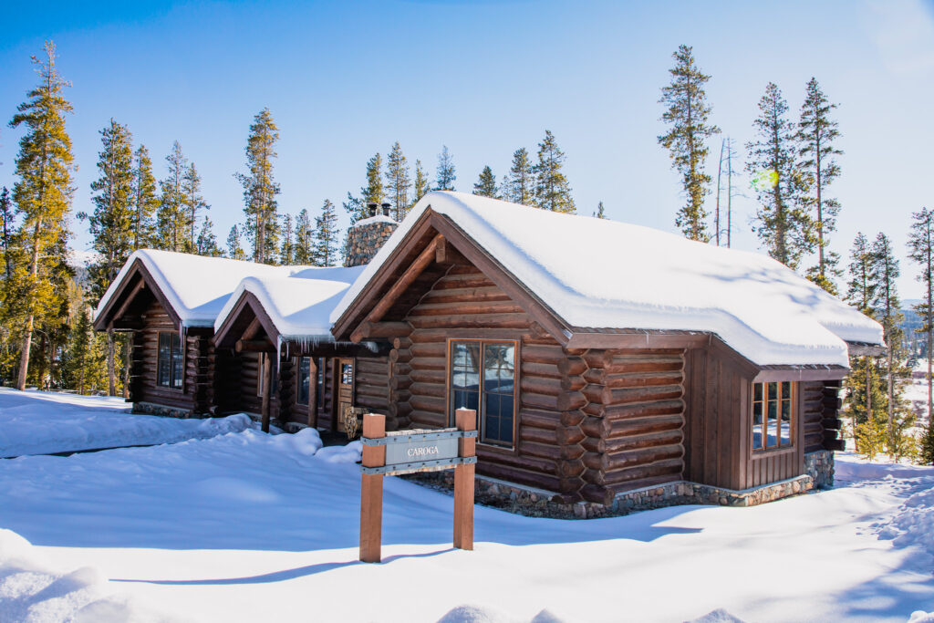 Snow-covered log cabin surrounded my pine trees