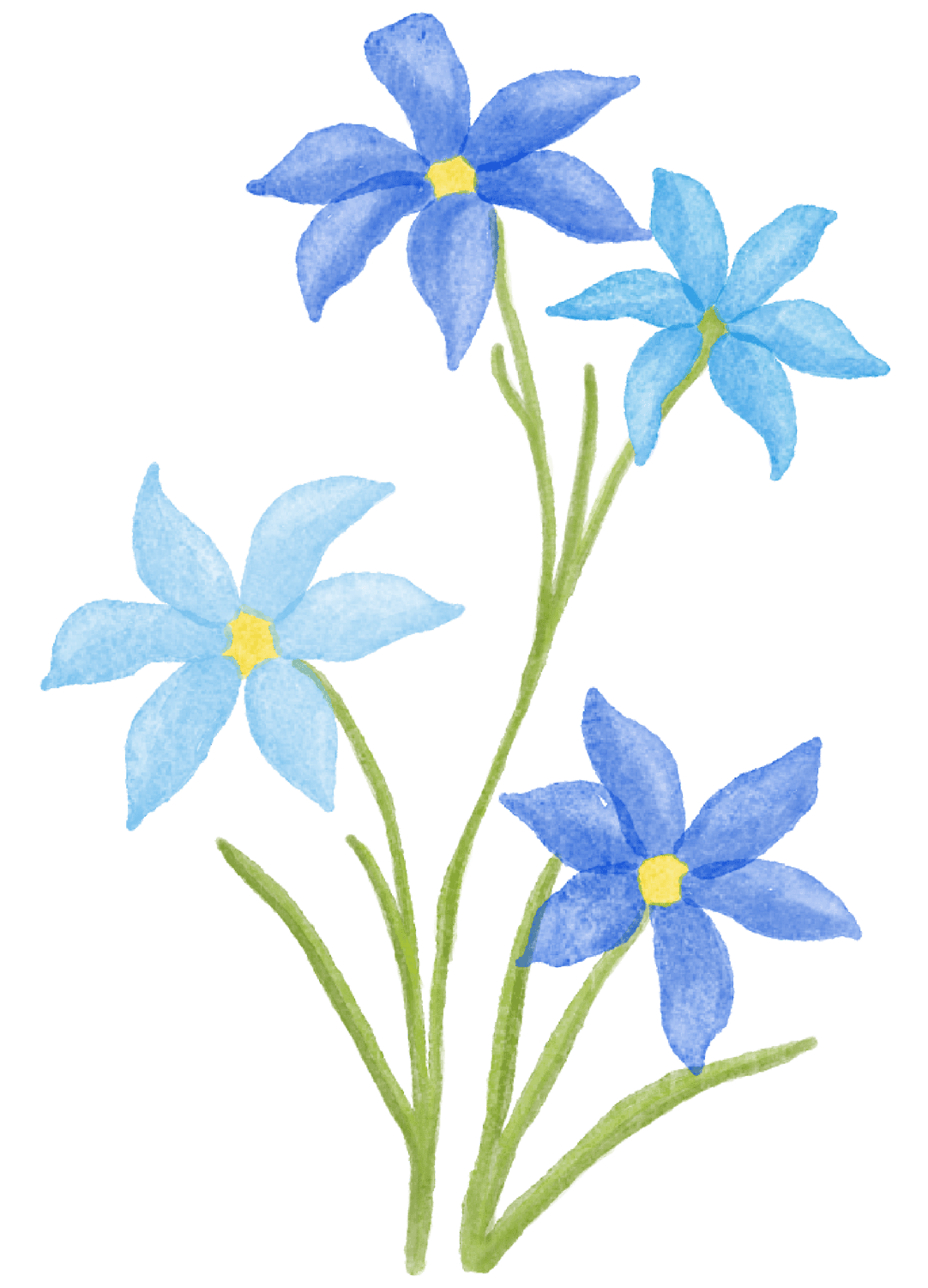 Flowers-WC