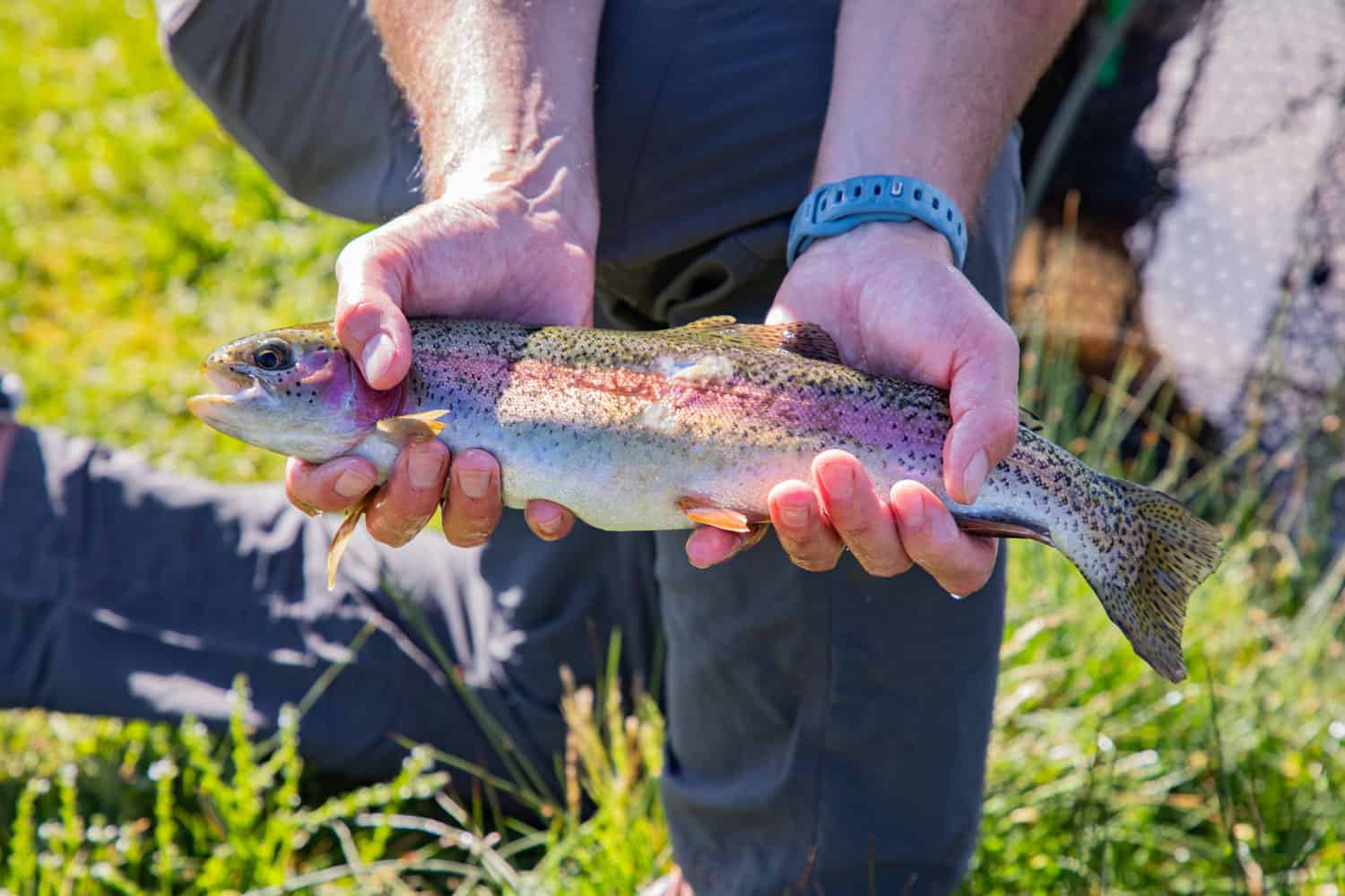 DTR-FlyFishing-3