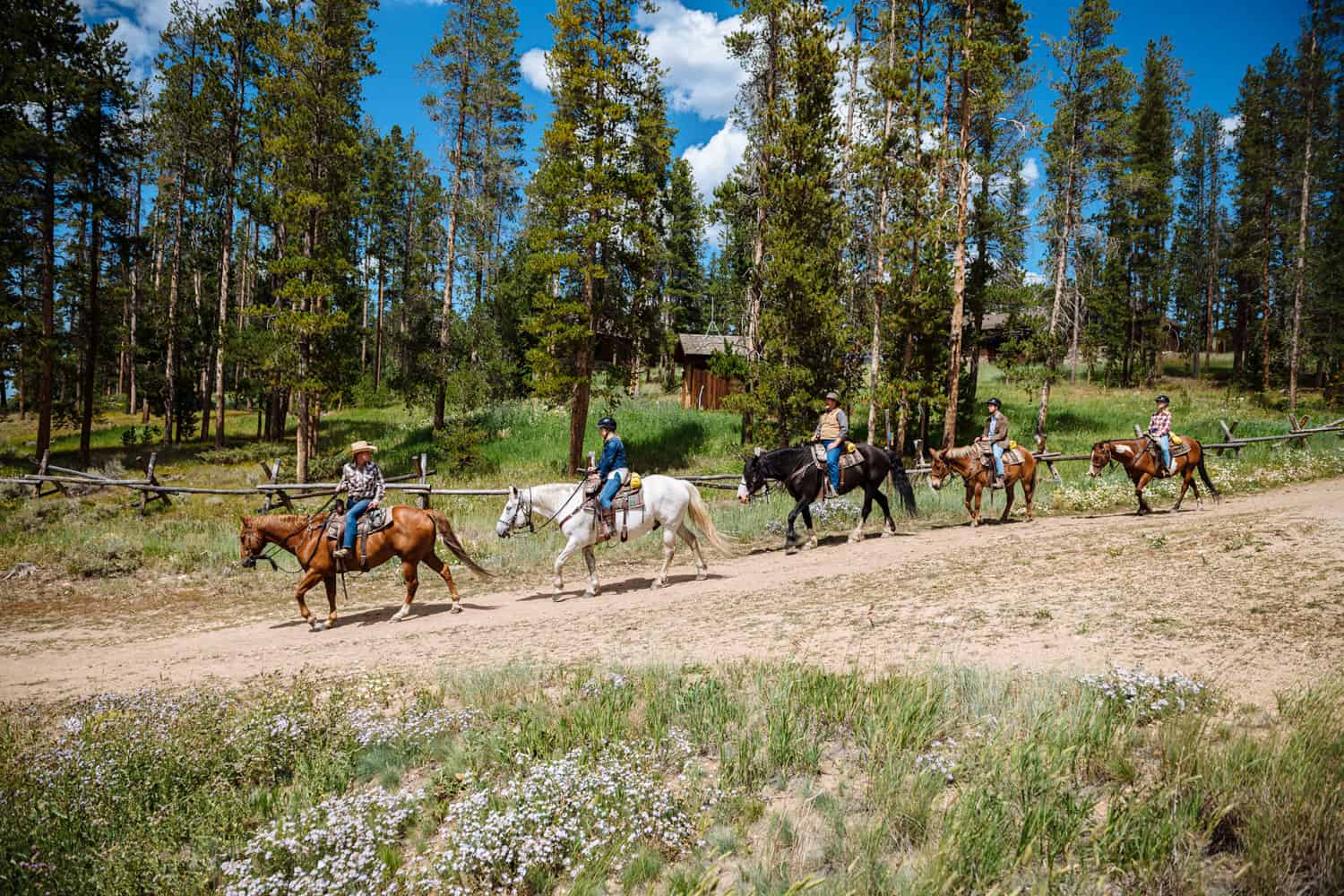 DTR-HorsebackRiding-2