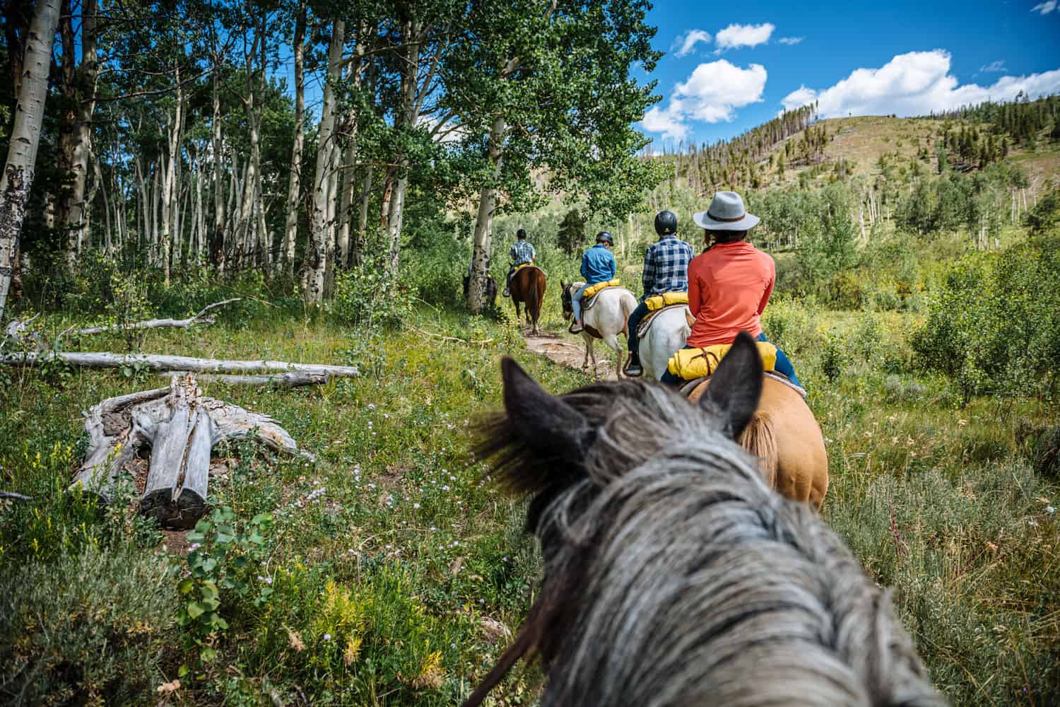 DTR-HorsebackRiding-5