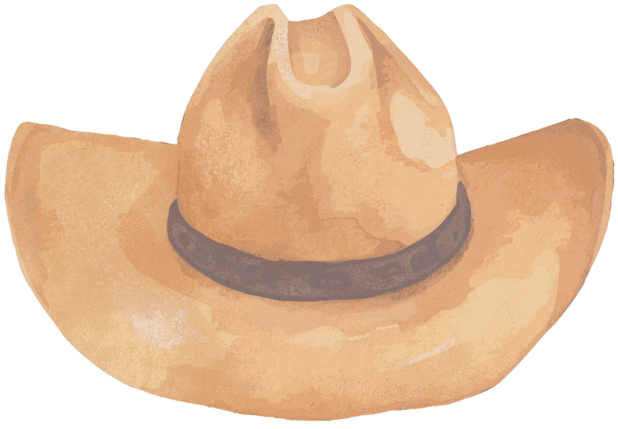 CowboyHat-cropped