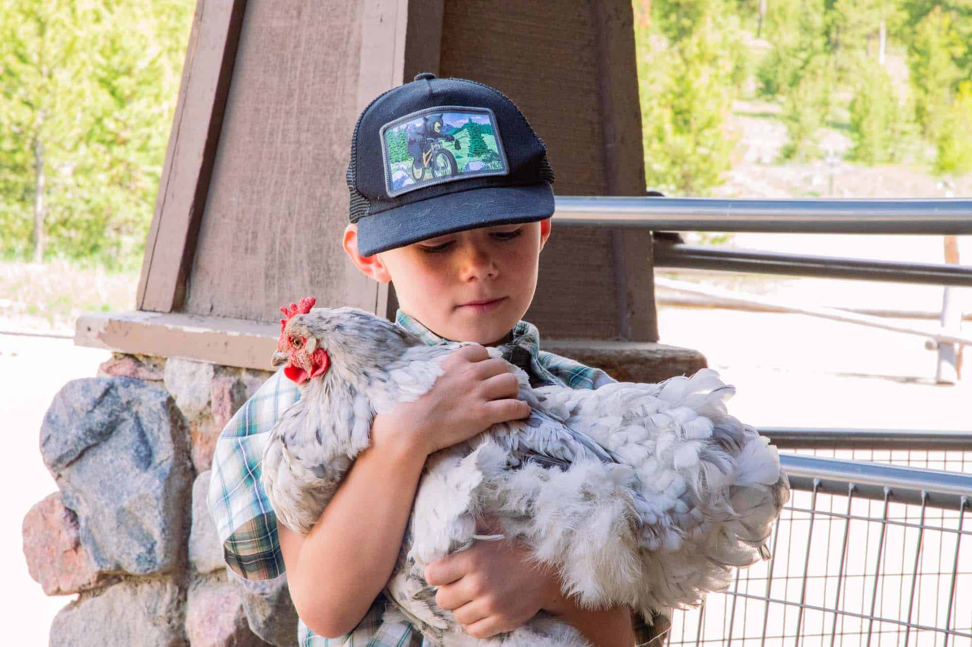 DTR-BarnyardBuddies-4