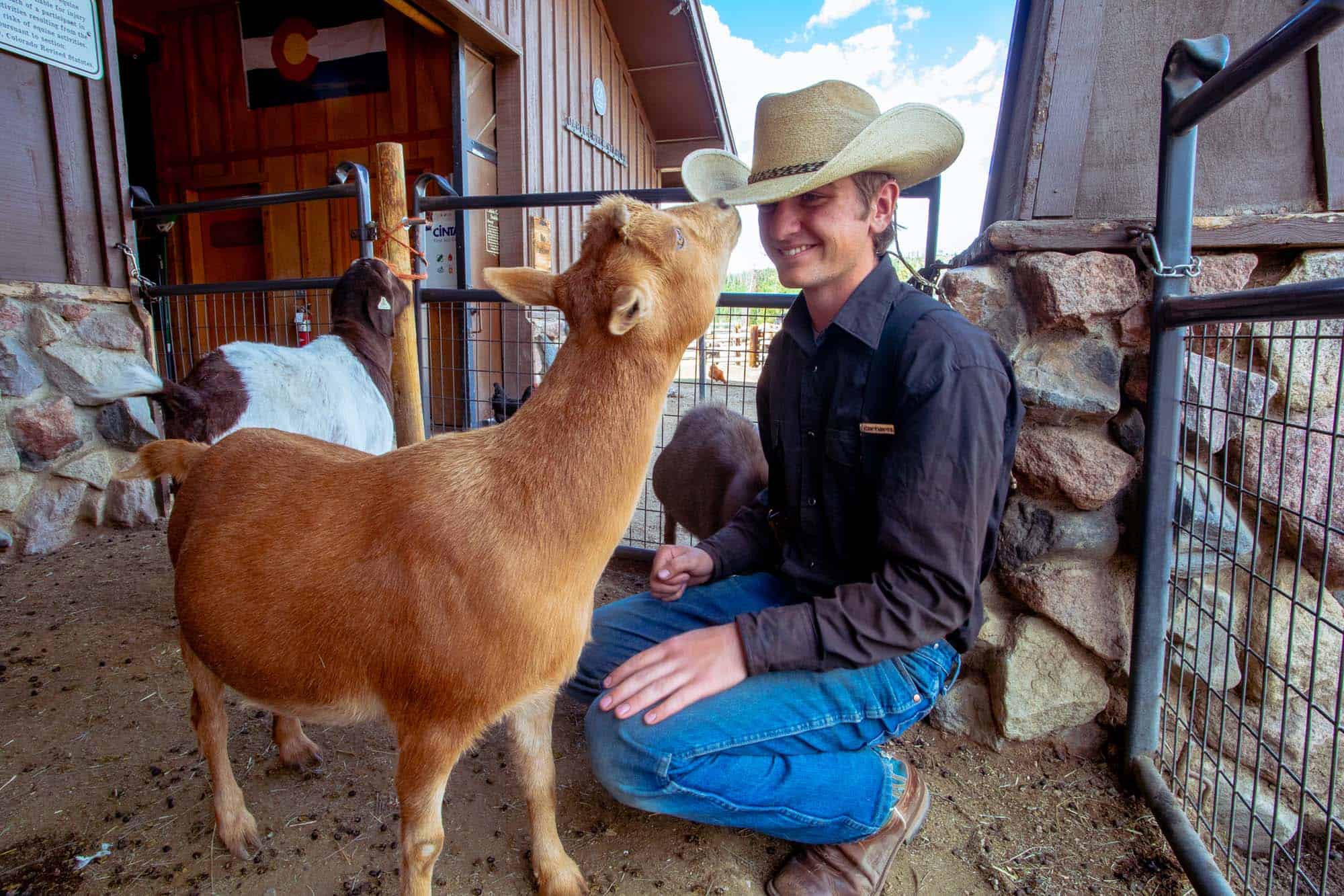 DTR-BarnyardBuddies-9