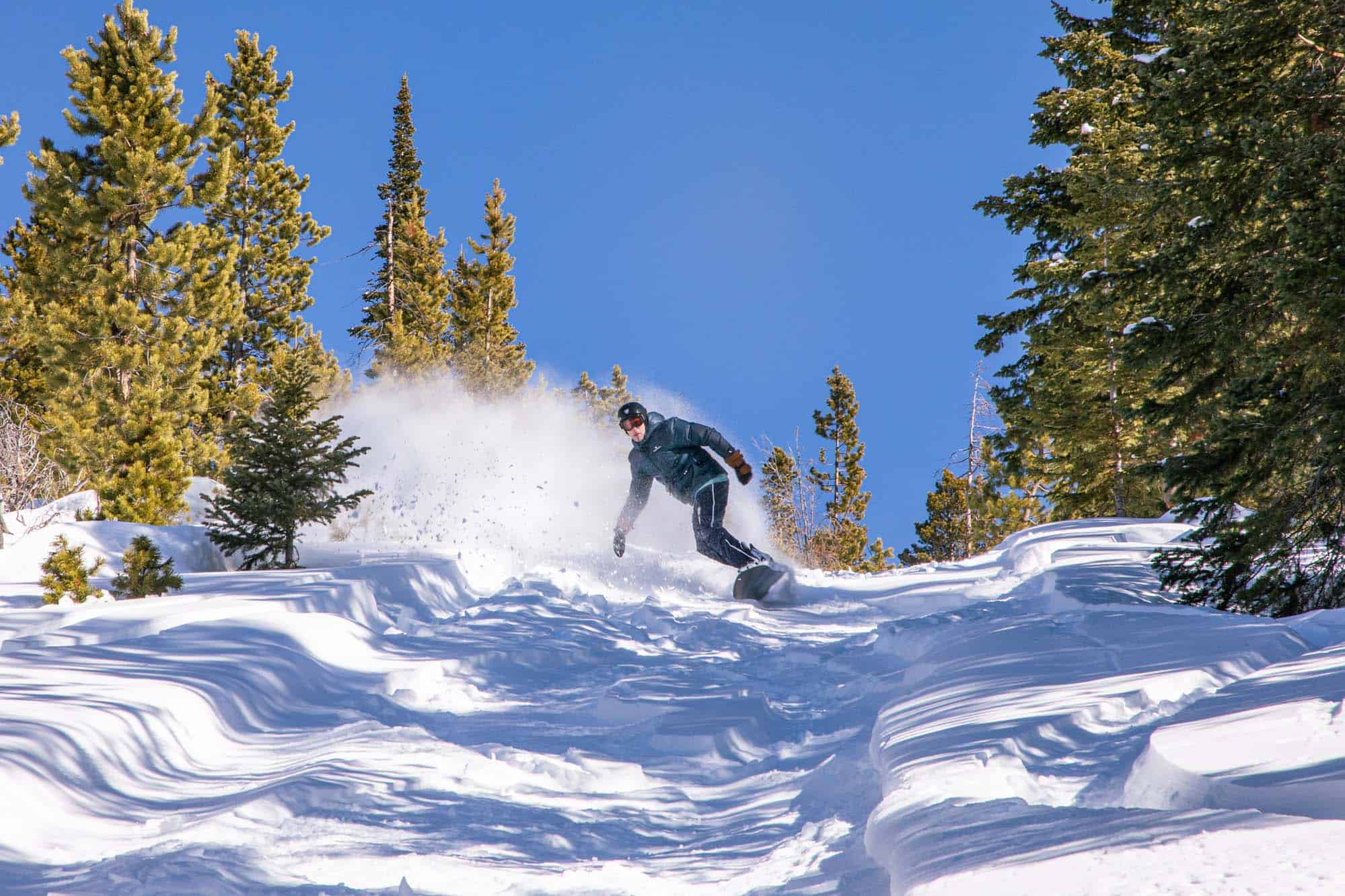 DTR-CatSkiBackcountry-11