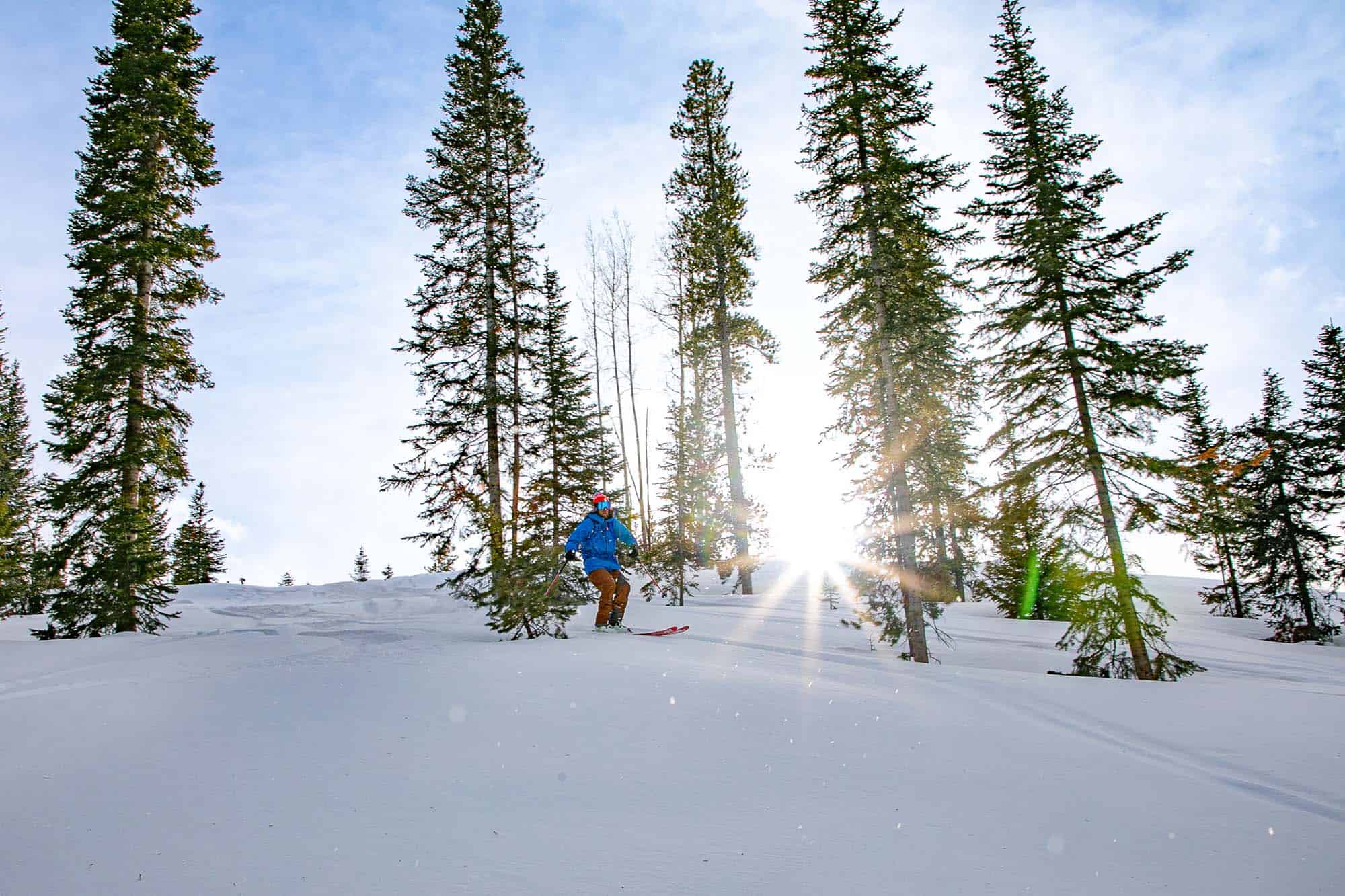 DTR-CatSkiBackcountry-2