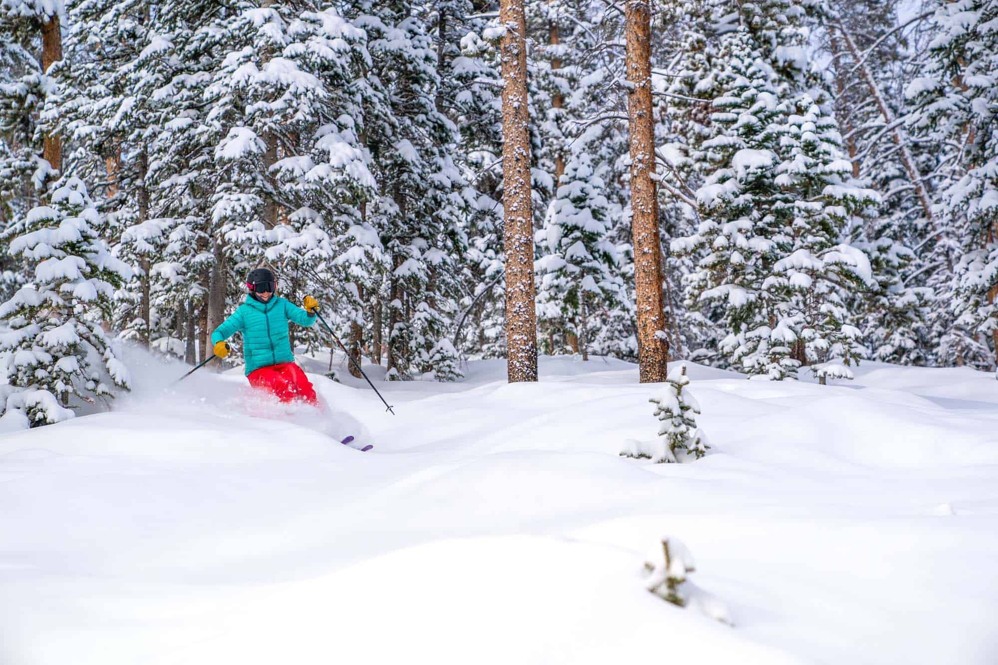 DTR-DownhillSkiingAndSnowboarding-3