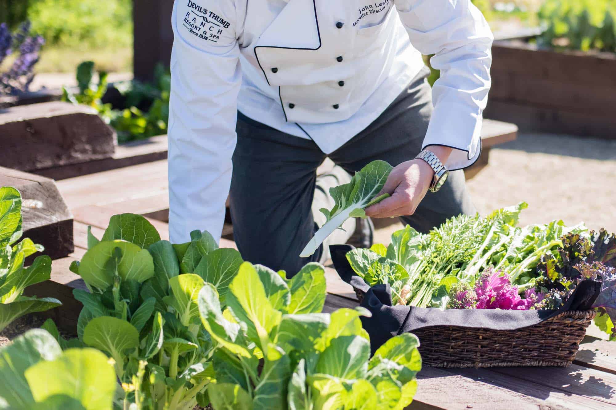 DTR-KendrasGardenTour-1