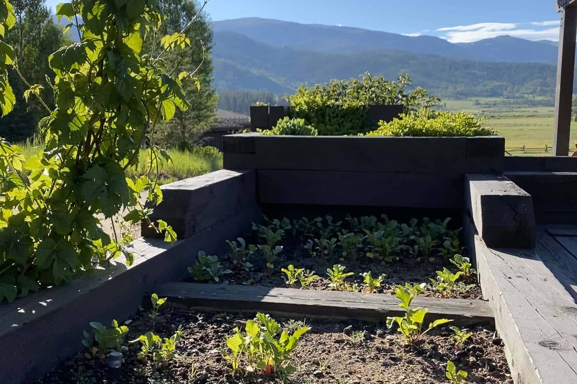 DTR-KendrasGardenTour-9