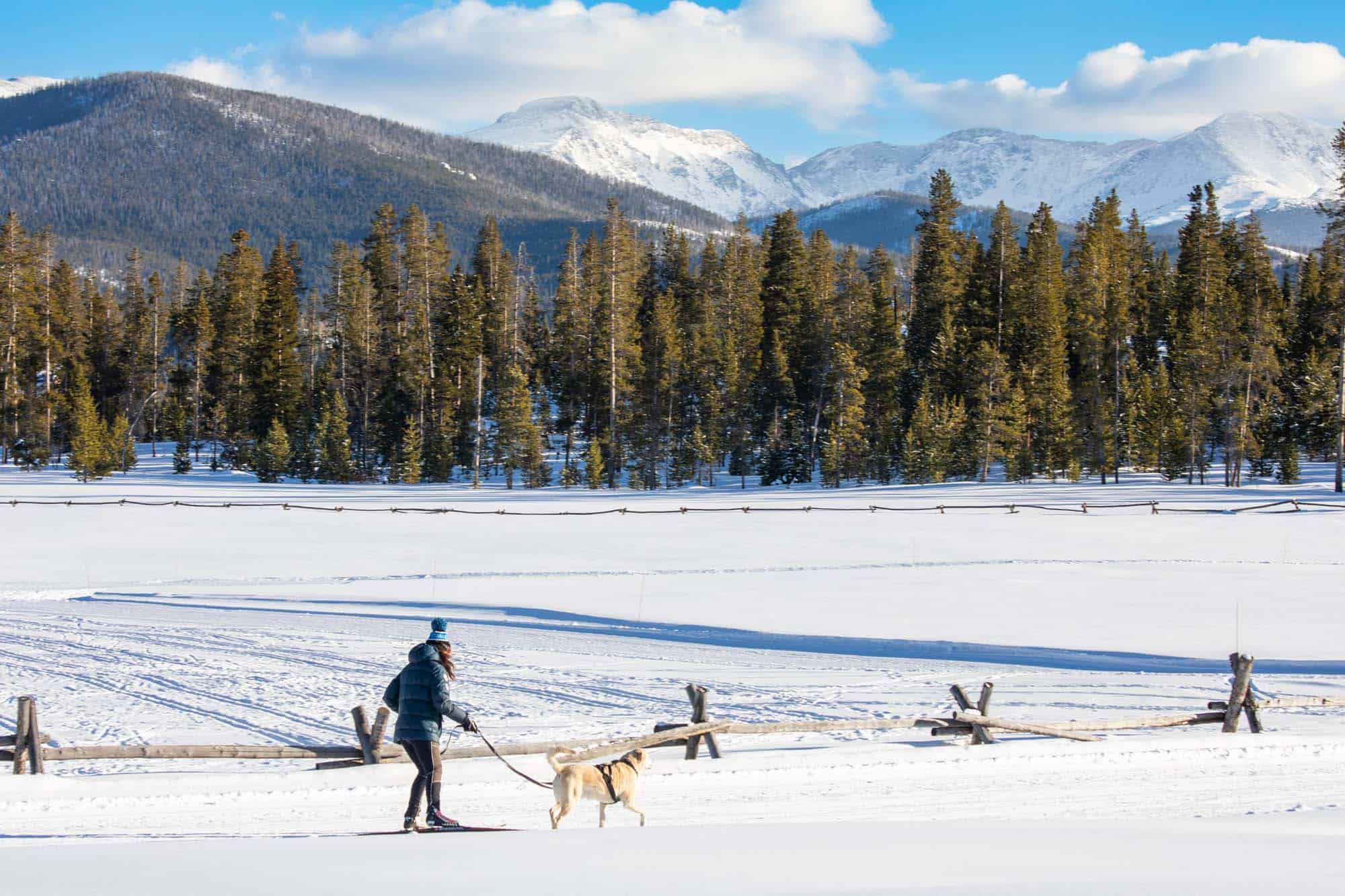 DTR-Skijoring-1