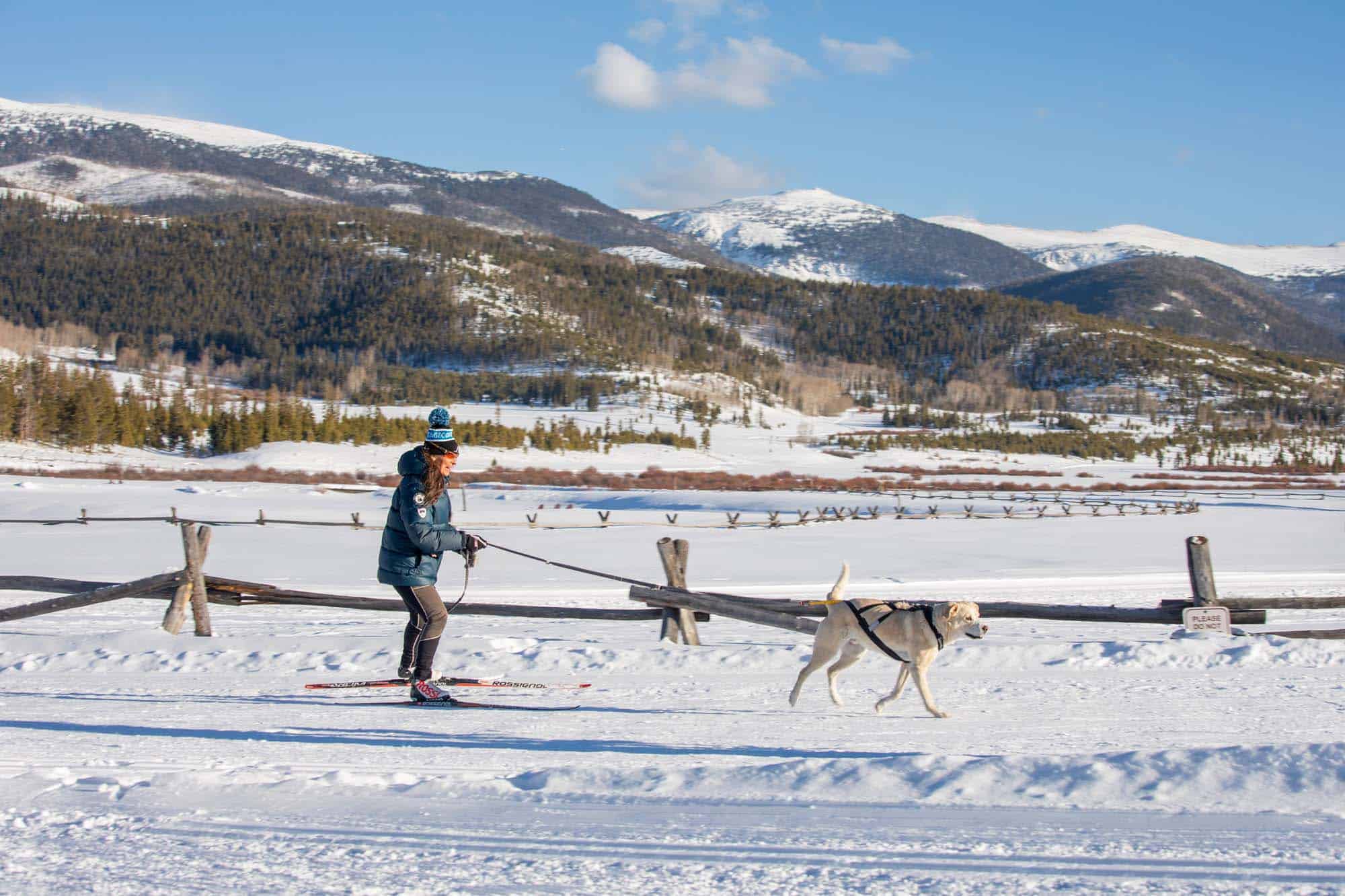 DTR-Skijoring-3