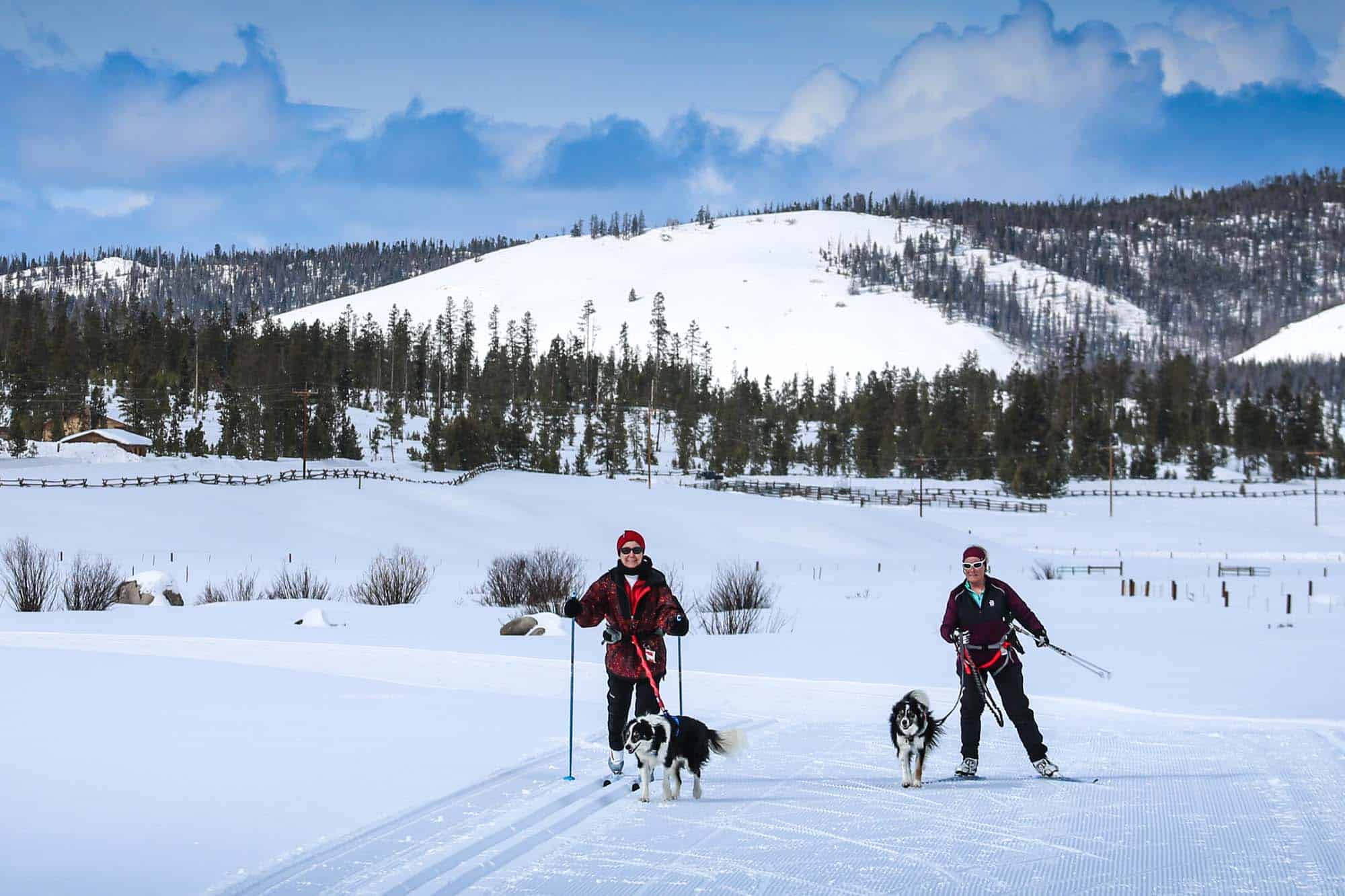 DTR-Skijoring-6