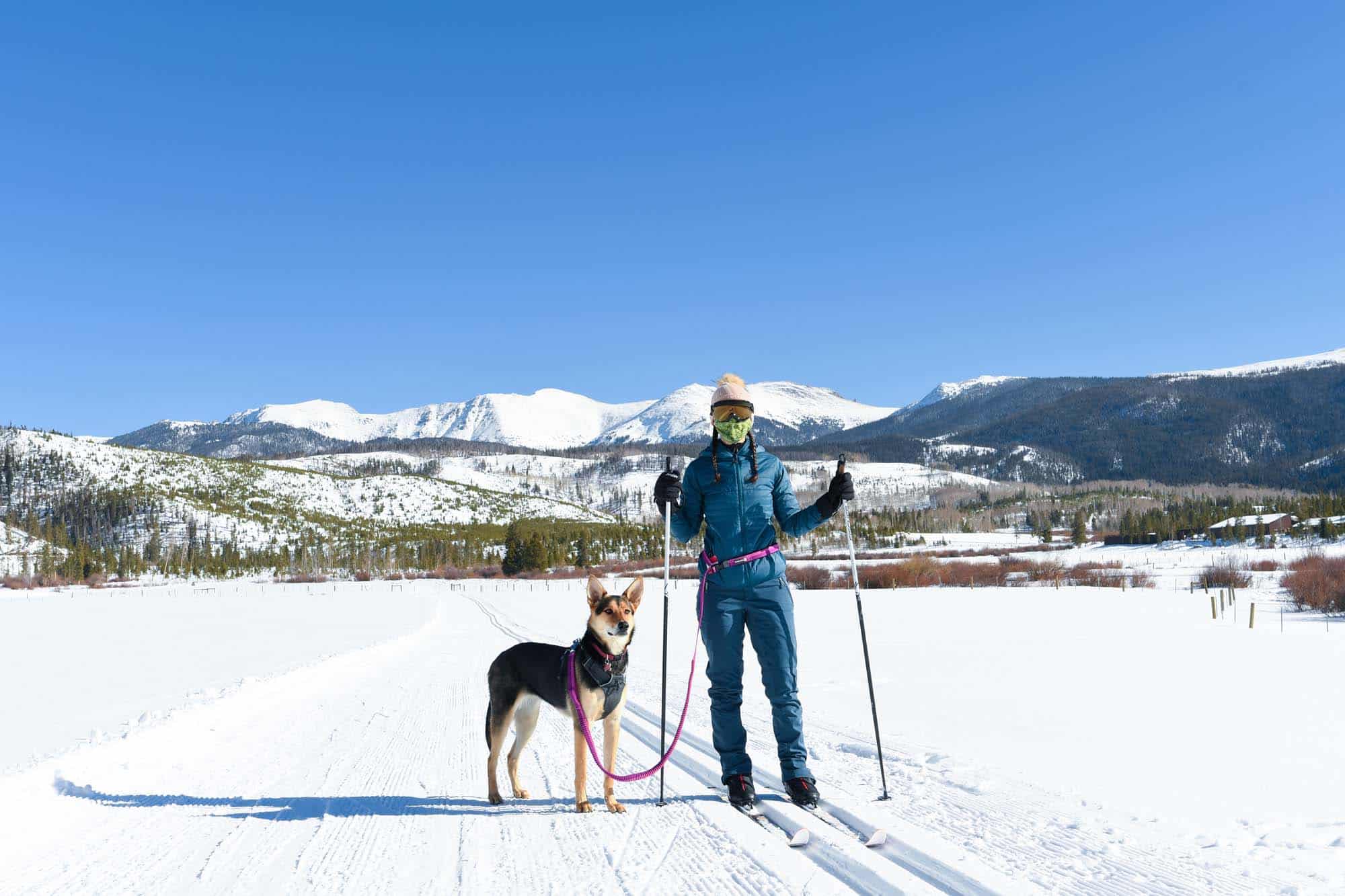 DTR-Skijoring-8
