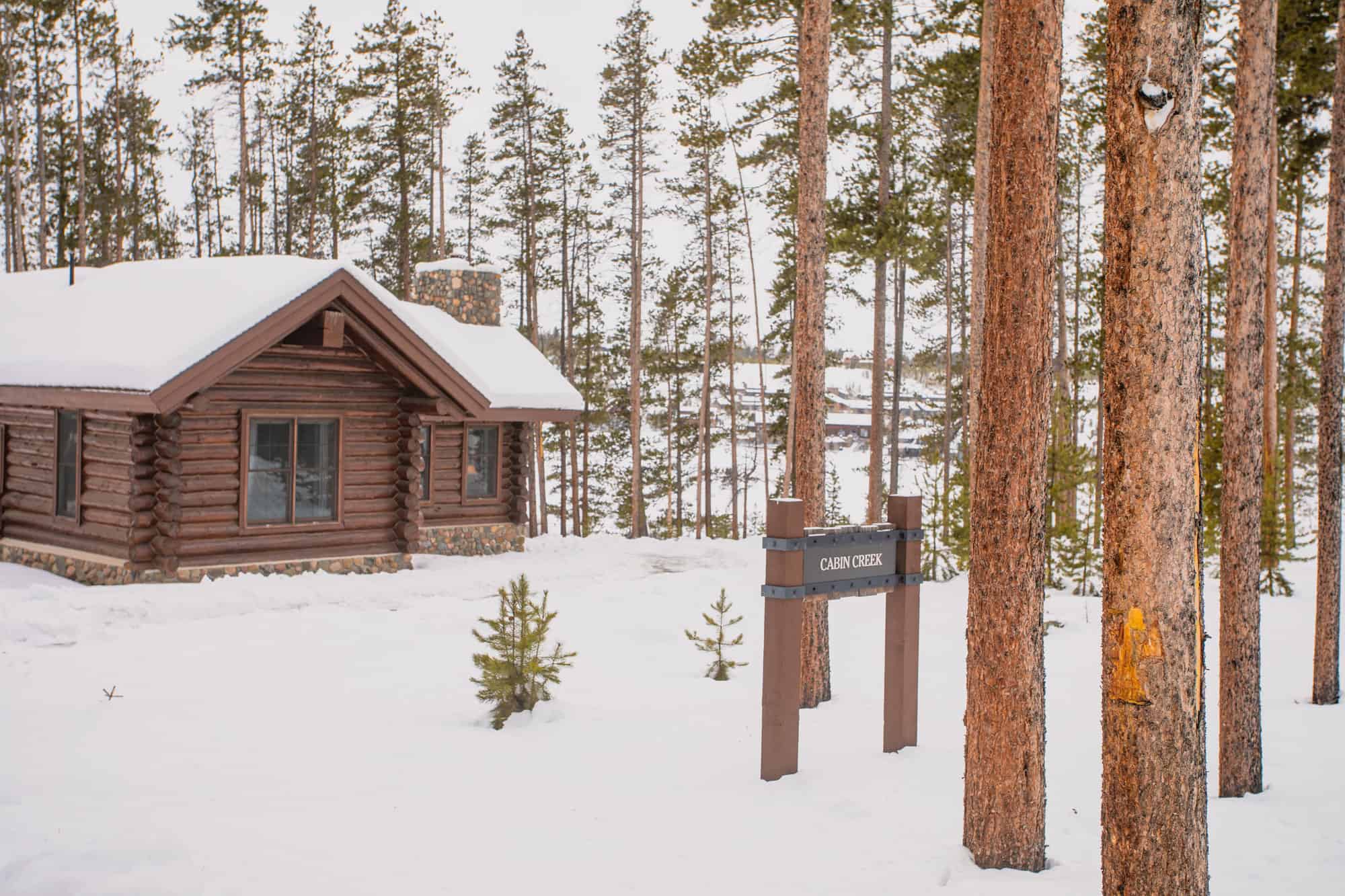 Snow-covered log cabin surrounded by pine trees at Devil's Thumb Ranch Resort & Spa.