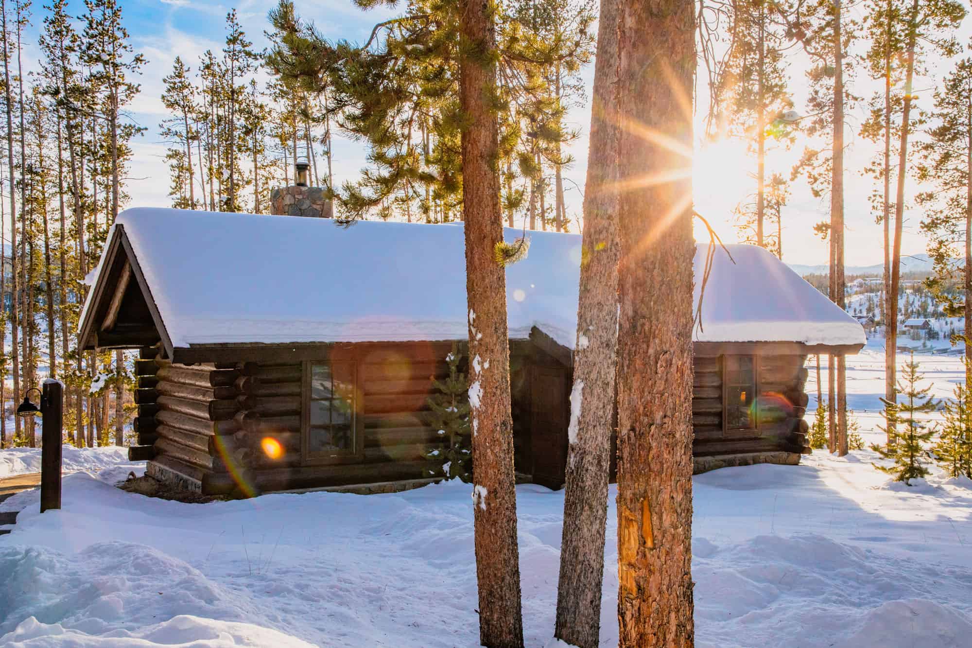 Rustic log cabin surrounded by snow and tall pine trees in a winter forest setting.