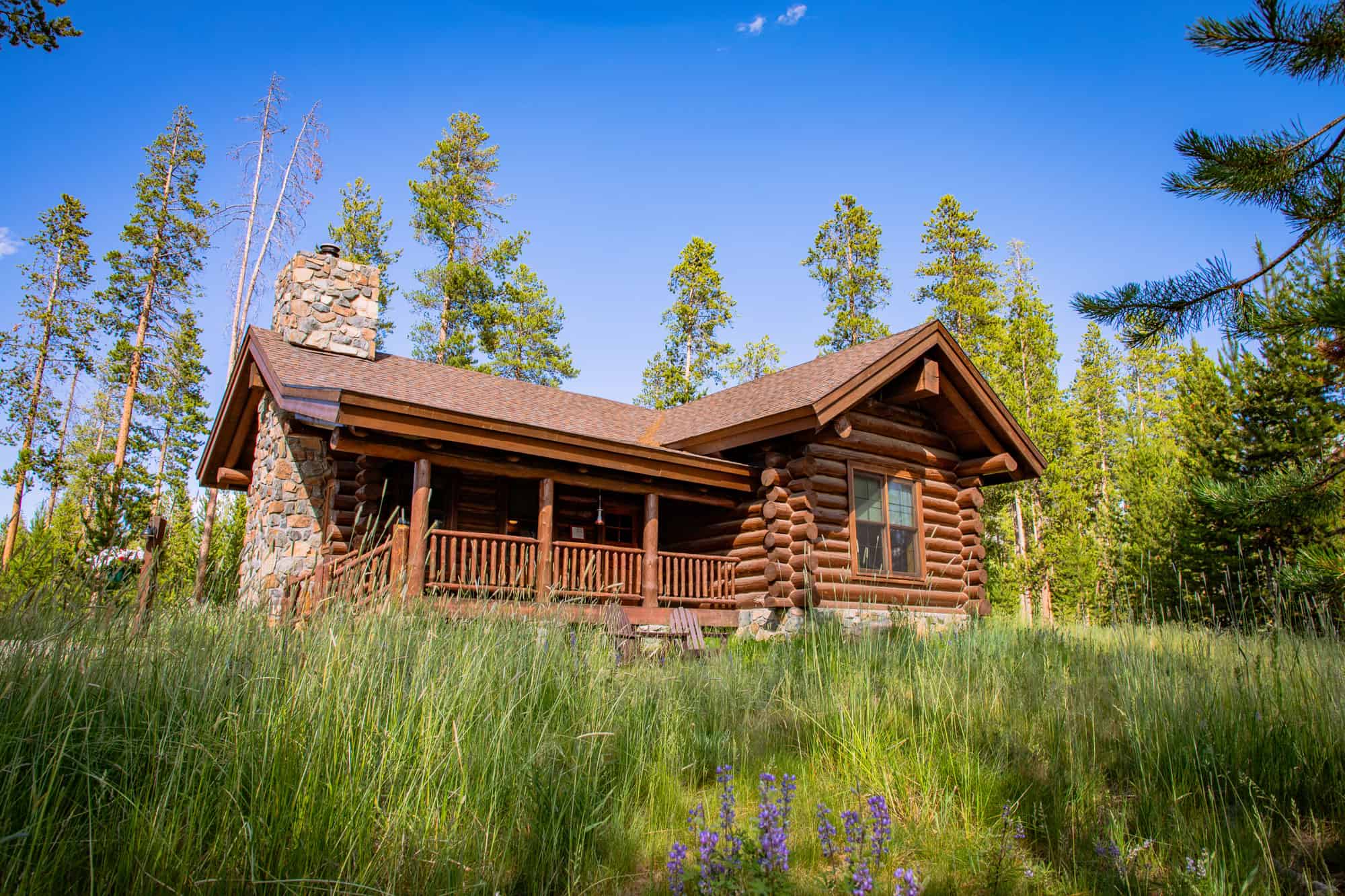 Cozy log cabin surrounded by lush green trees at Devil's Thumb Ranch Resort & Spa.
