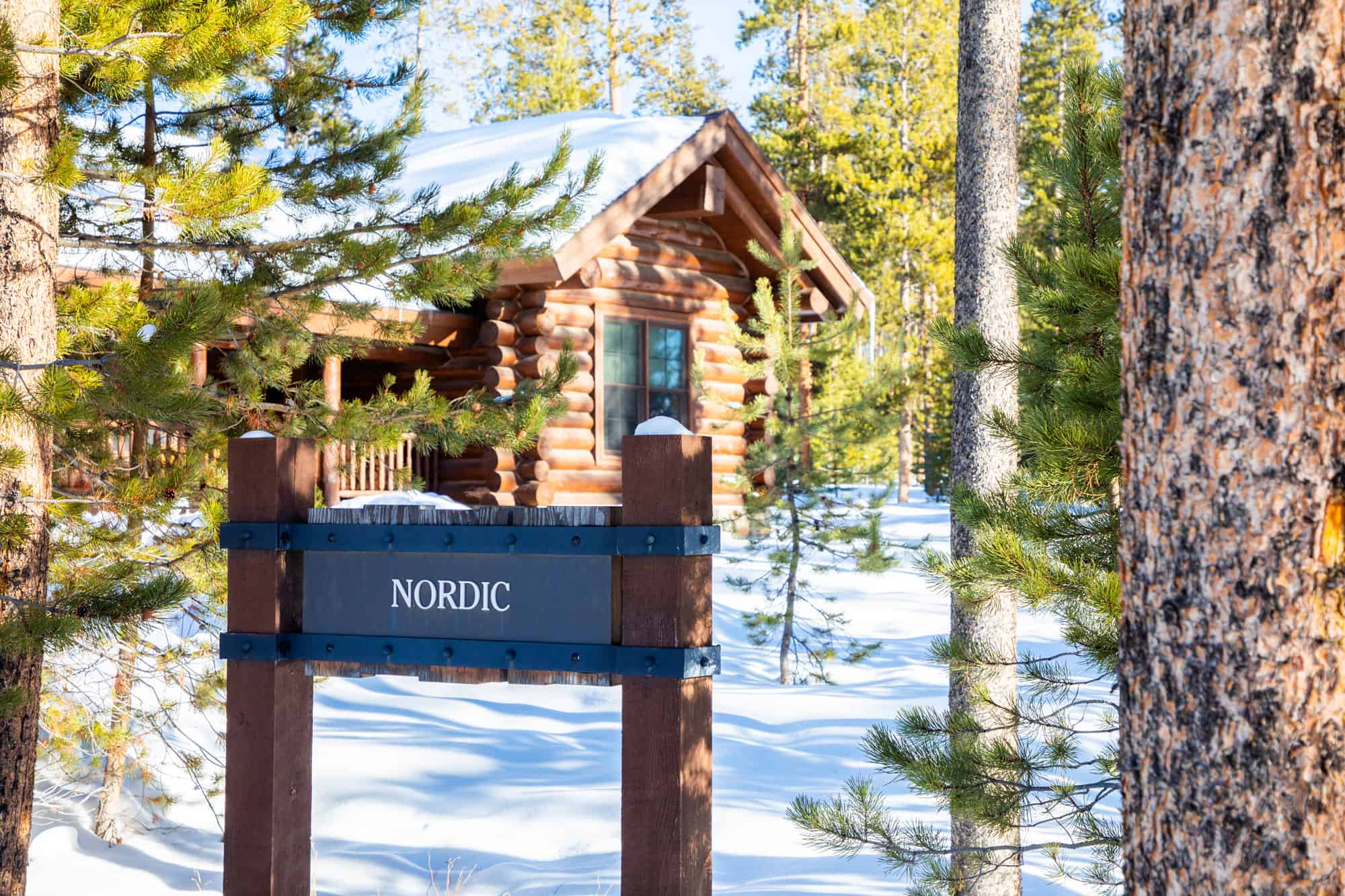Cozy Nordic cabin surrounded by snow and pine trees at Devil's Thumb Ranch.