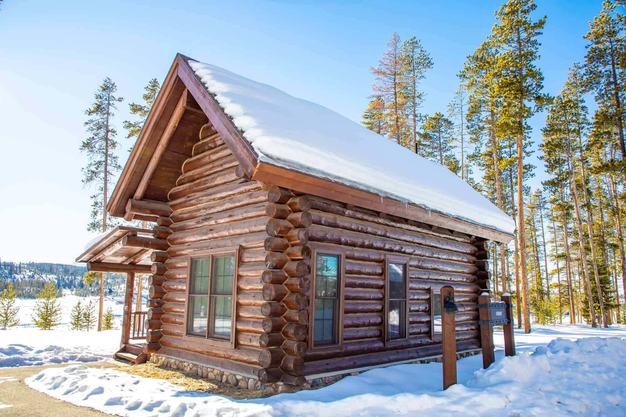 Charming log cabin surrounded by snow-covered ground and tall pine trees in a winter landscape.
