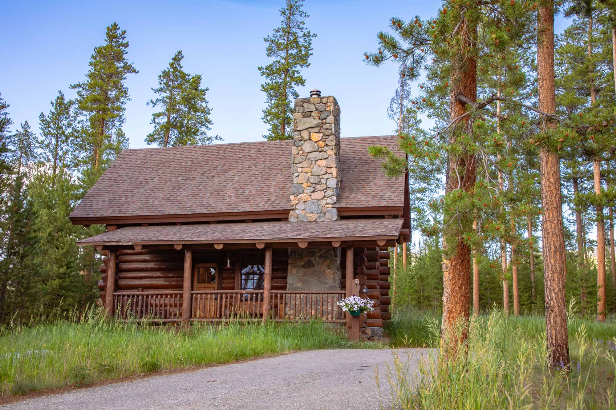 Cozy log cabin with stone chimney surrounded by pine trees at Devil's Thumb Ranch.