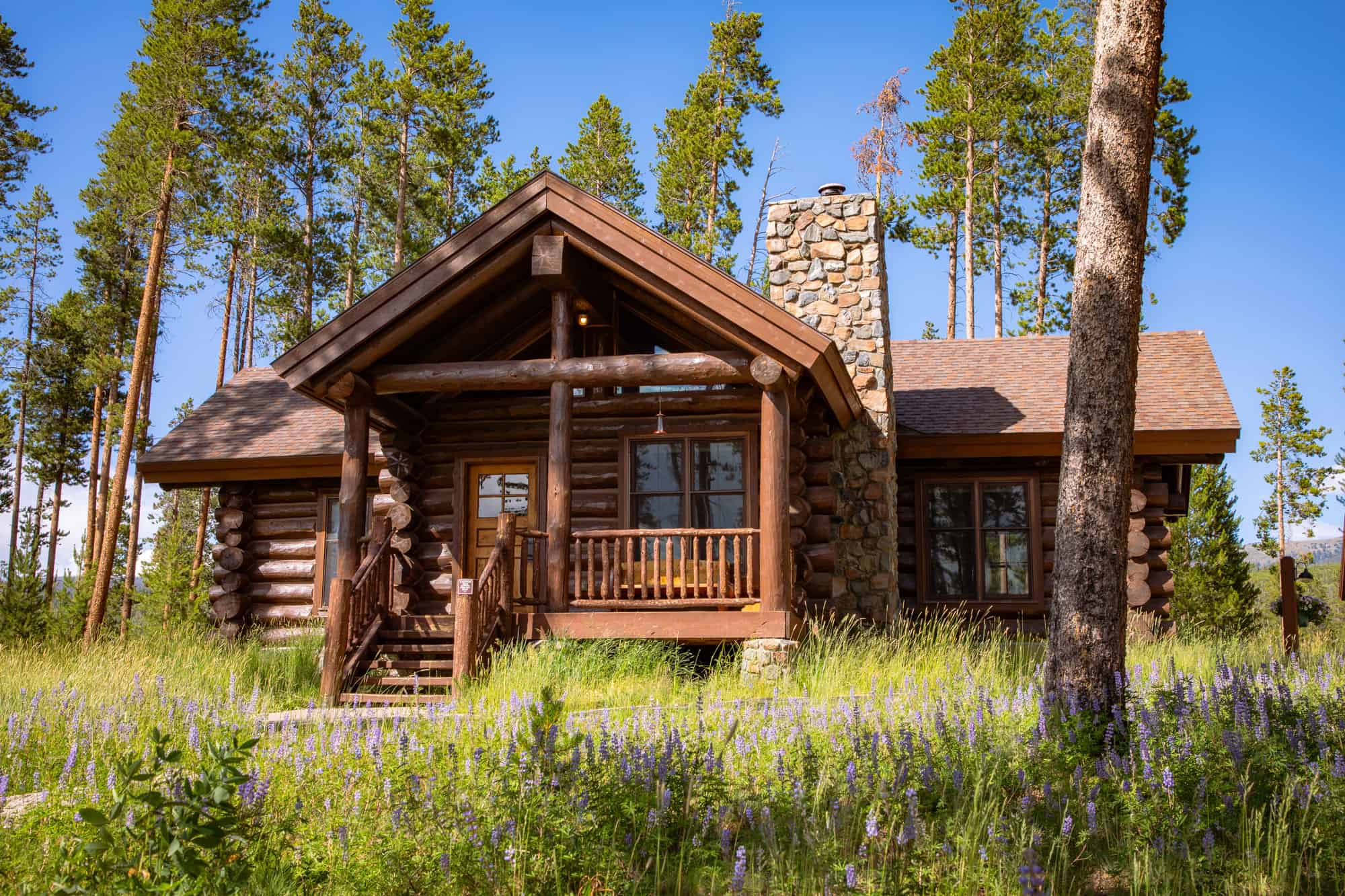 Cozy log cabin surrounded by tall pine trees at Devil's Thumb Ranch Resort & Spa.