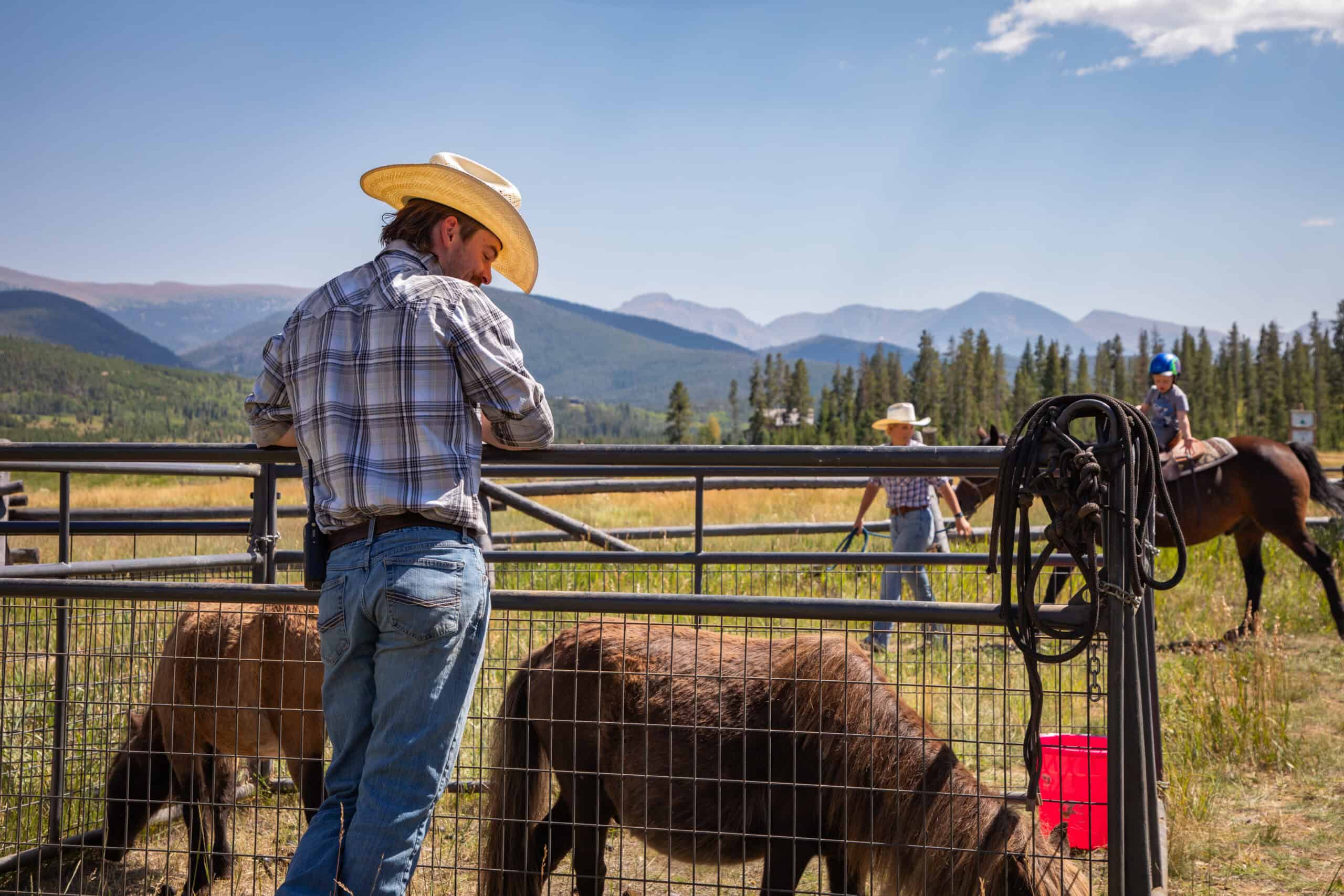 Rancher feeding bison in a scenic mountain setting at Devil's Thumb Ranch.