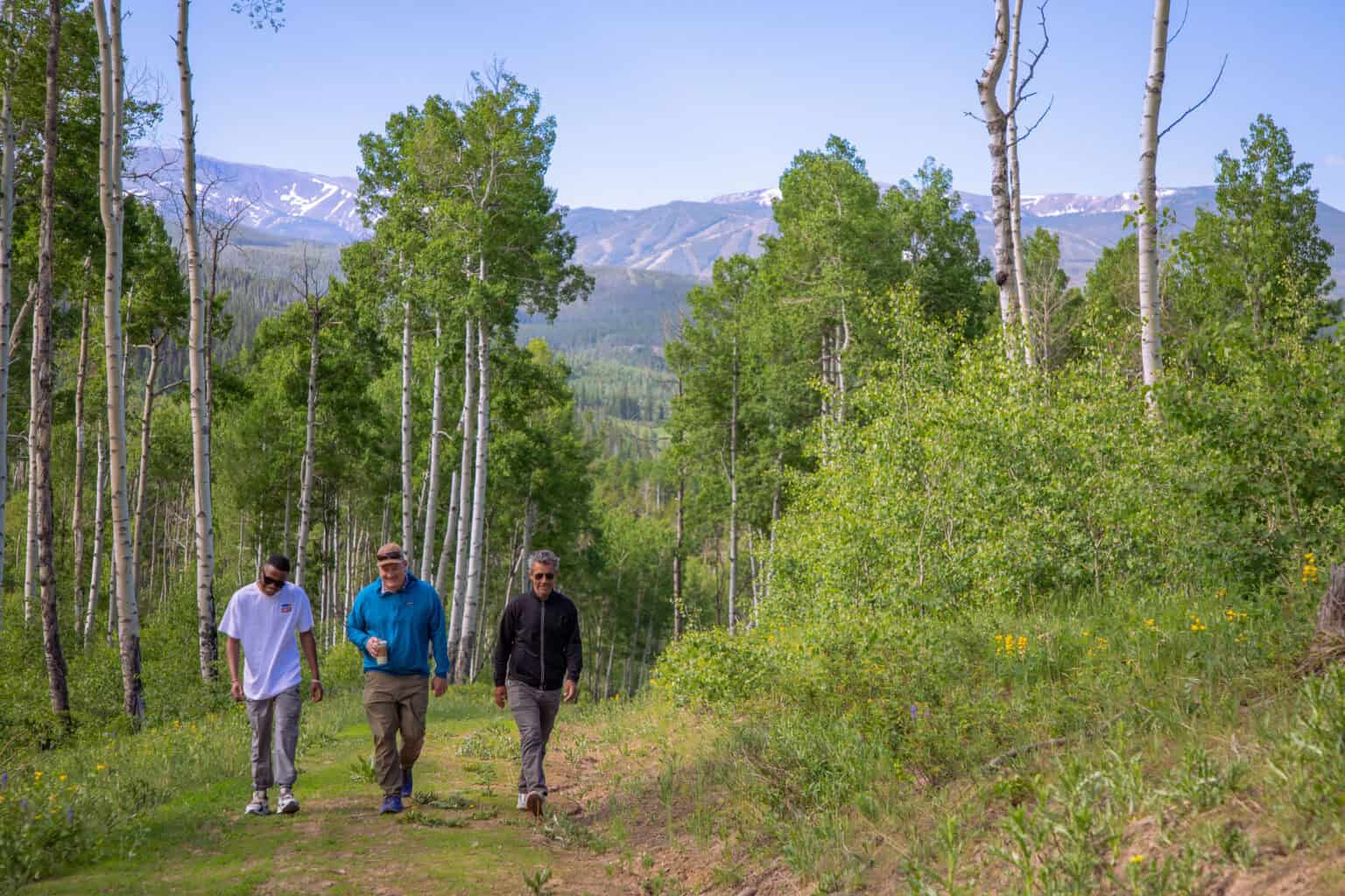 Three people walking on a forest trail with mountains in the background.