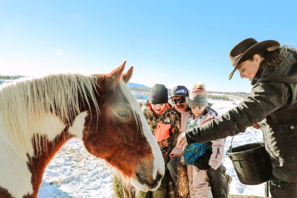 Group of people feeding a horse outdoors in snowy landscape at Devil's Thumb Ranch.