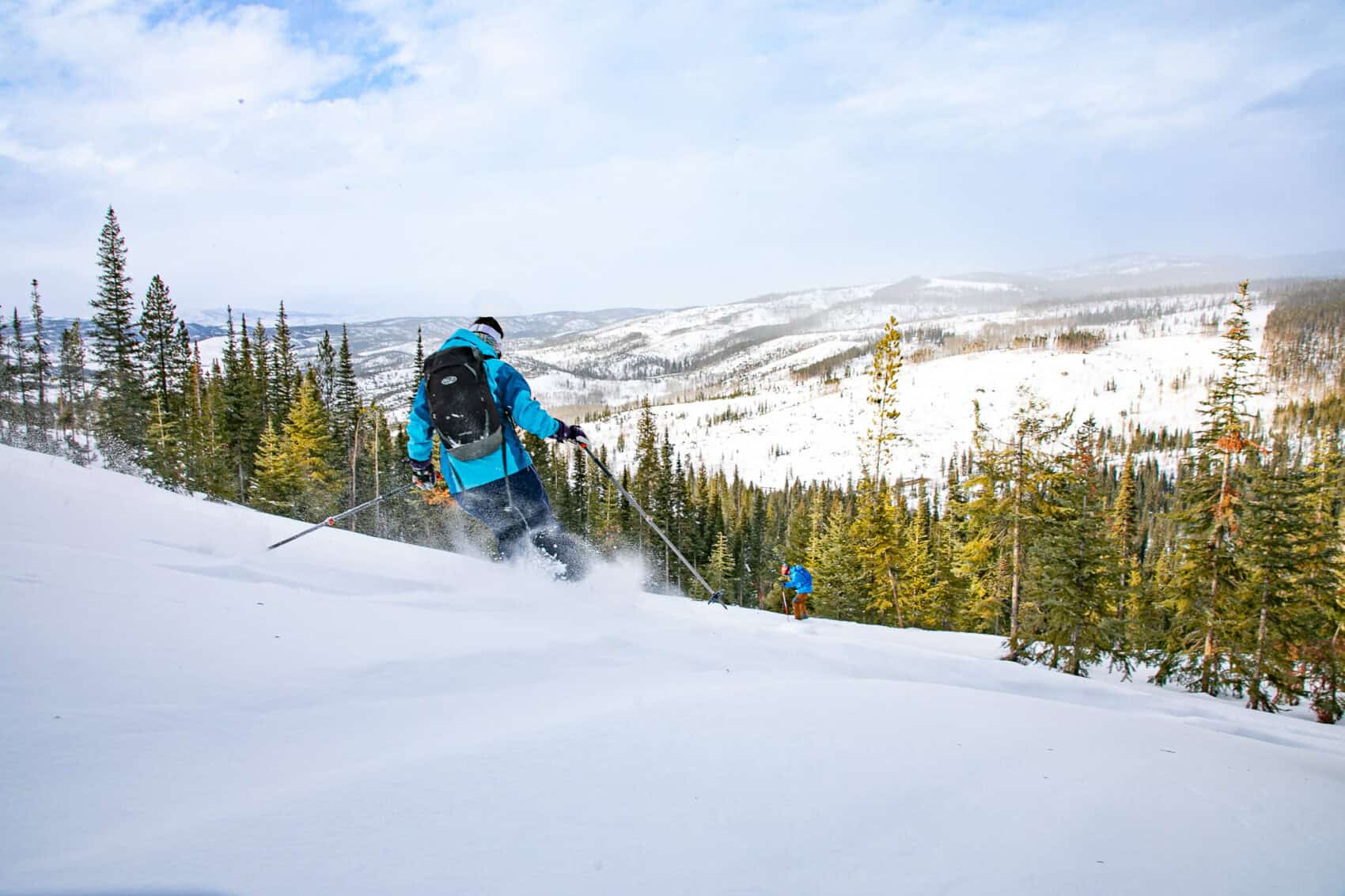 Skiers descending a snowy slope with a scenic mountain view and pine trees in the background.