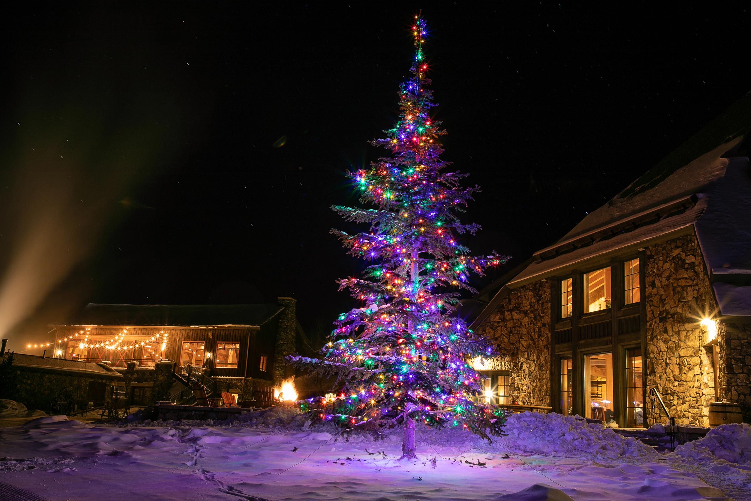 Colorful Christmas tree illuminated at Devil's Thumb Ranch Resort & Spa at night.
