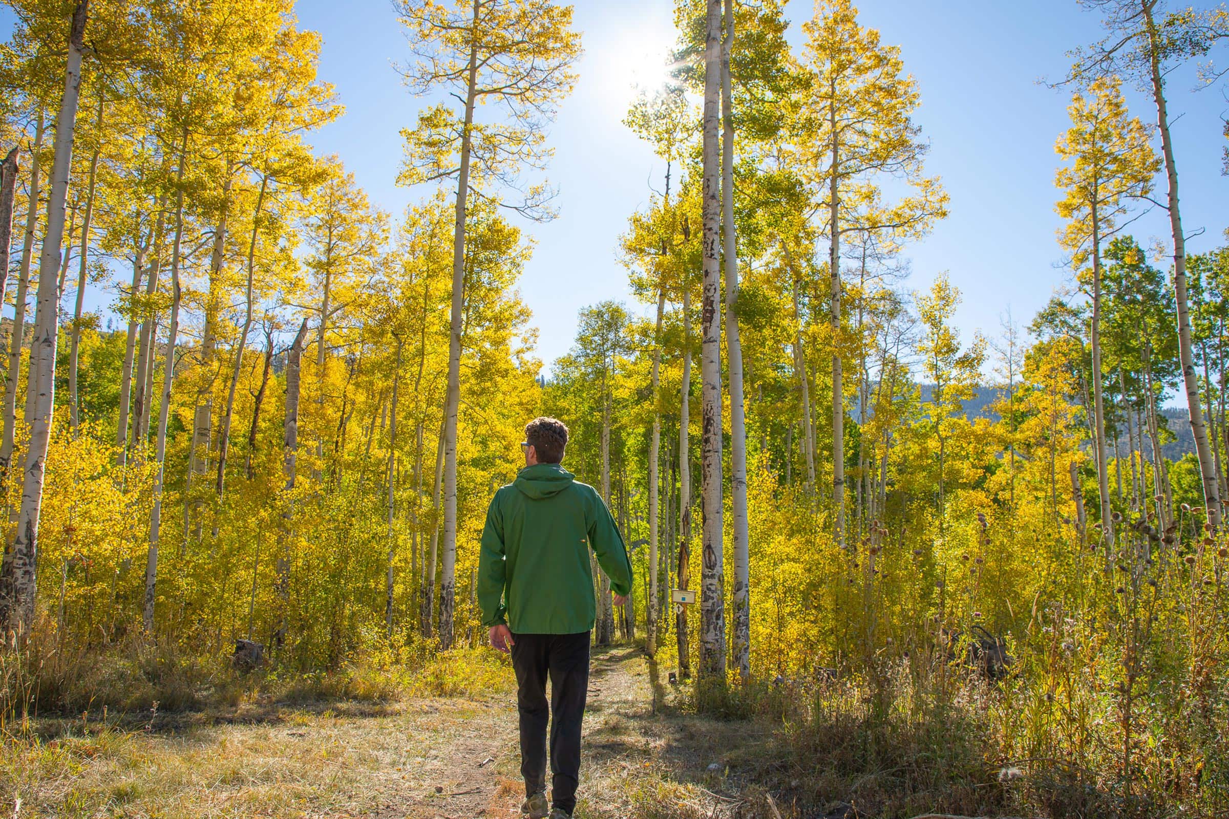 Hiker walking through colorful autumn forest at Devil's Thumb Ranch.