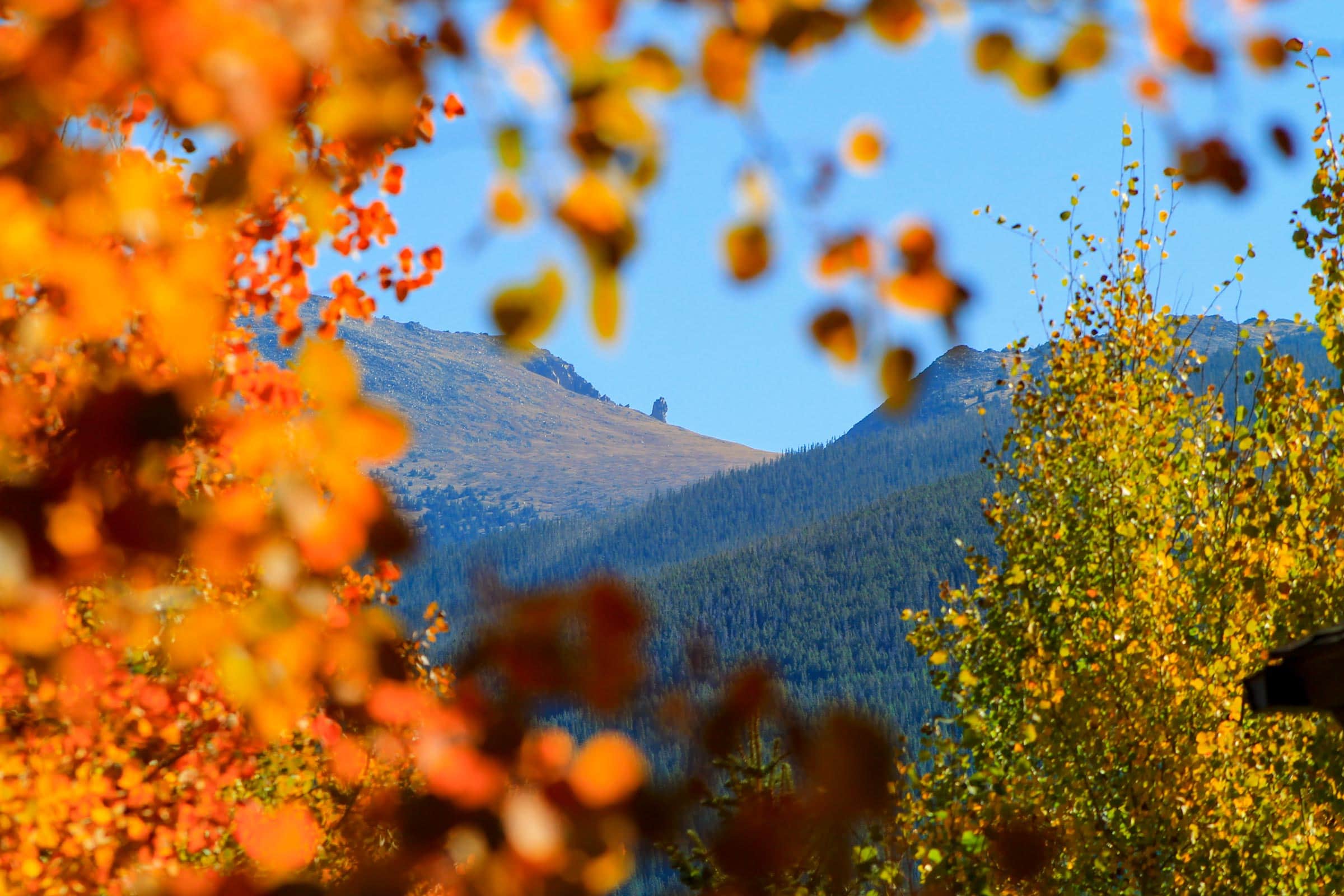 Scenic view of Devil's Thumb Ranch with colorful autumn leaves and mountain backdrop.