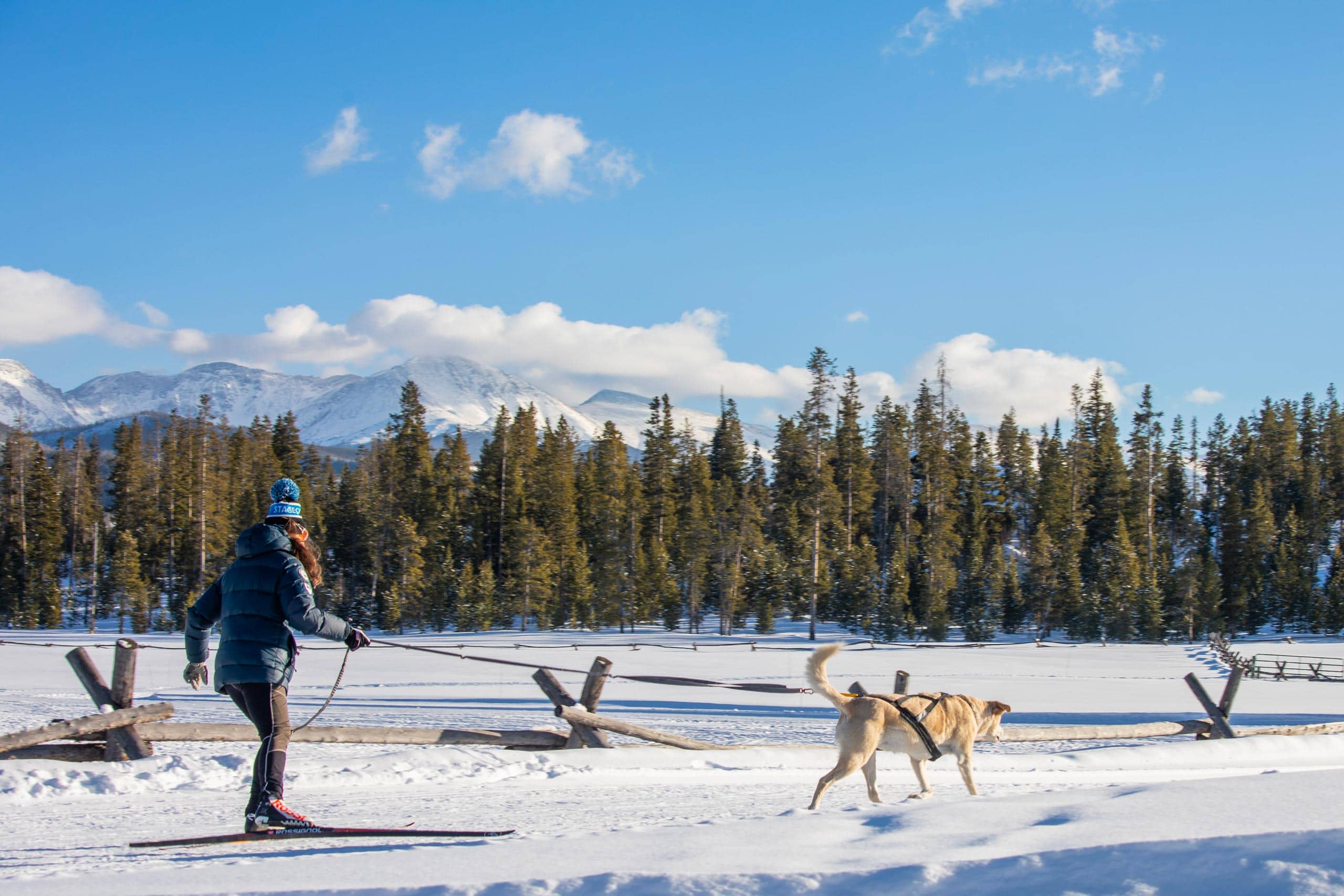 Person skijoring with dog in snowy mountain landscape at Devil's Thumb Ranch.
