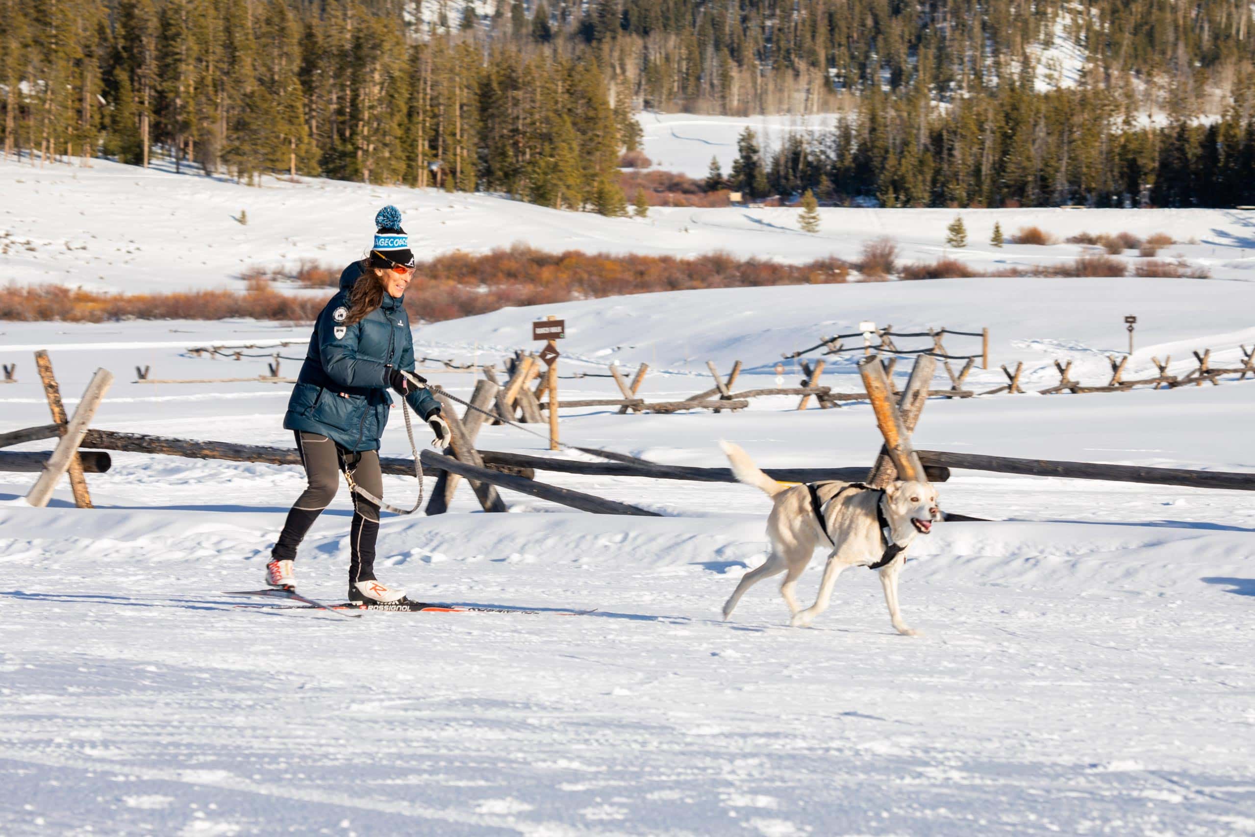 Person skijoring with dog in snowy landscape at Devil's Thumb Ranch.