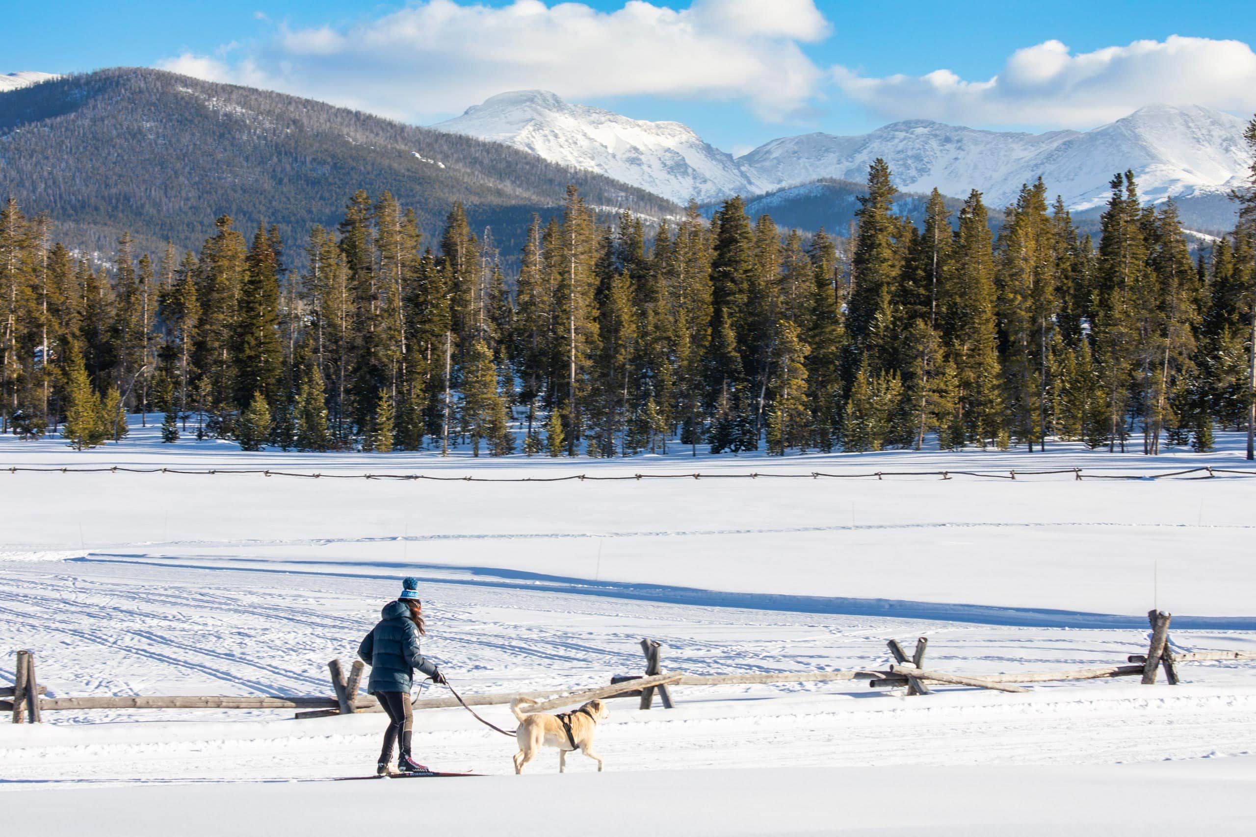 Person skijoring with dog in snowy mountain landscape at Devil's Thumb Ranch.