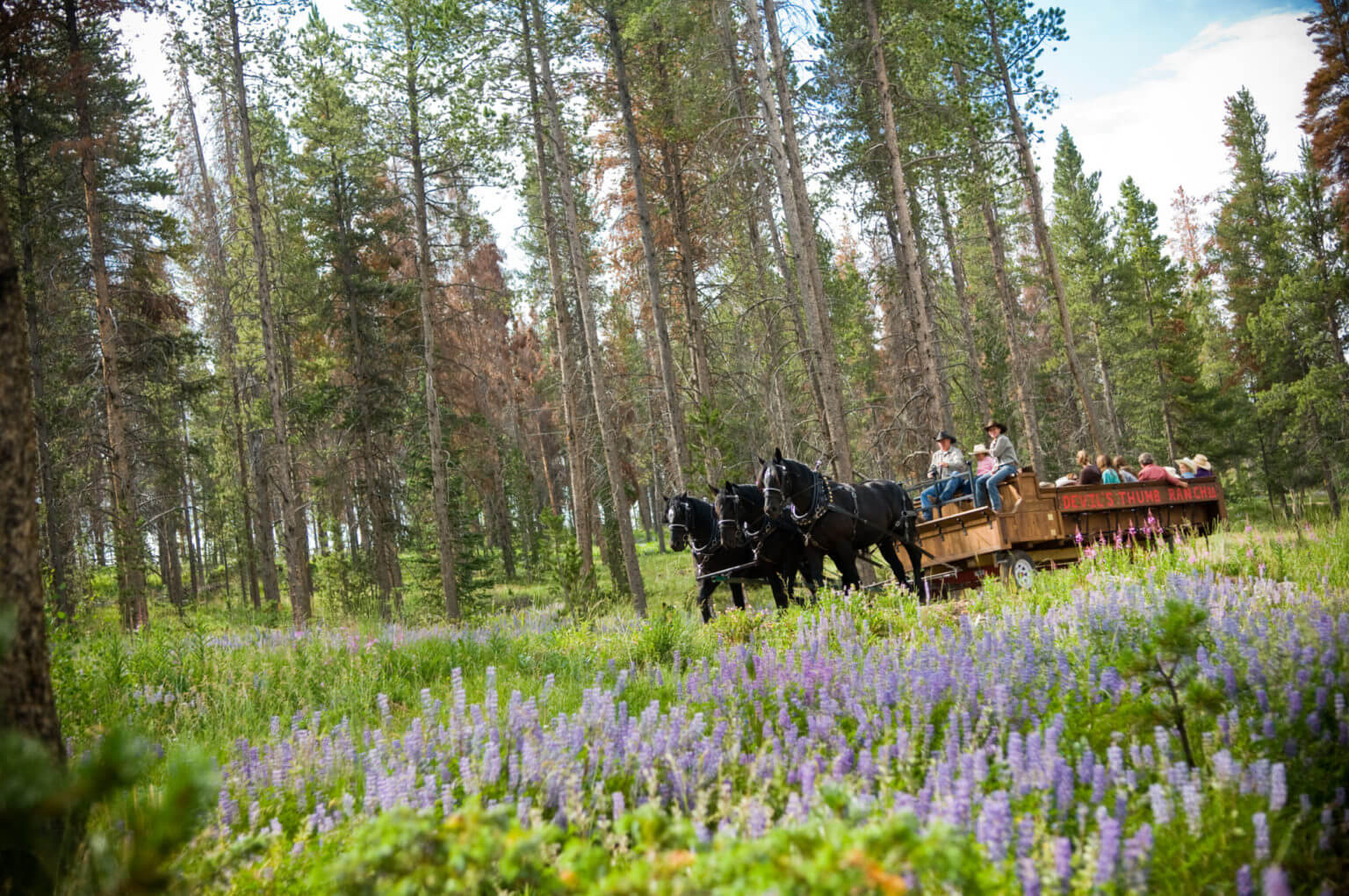Late Summer Daily Activities | Devil's Thumb Ranch