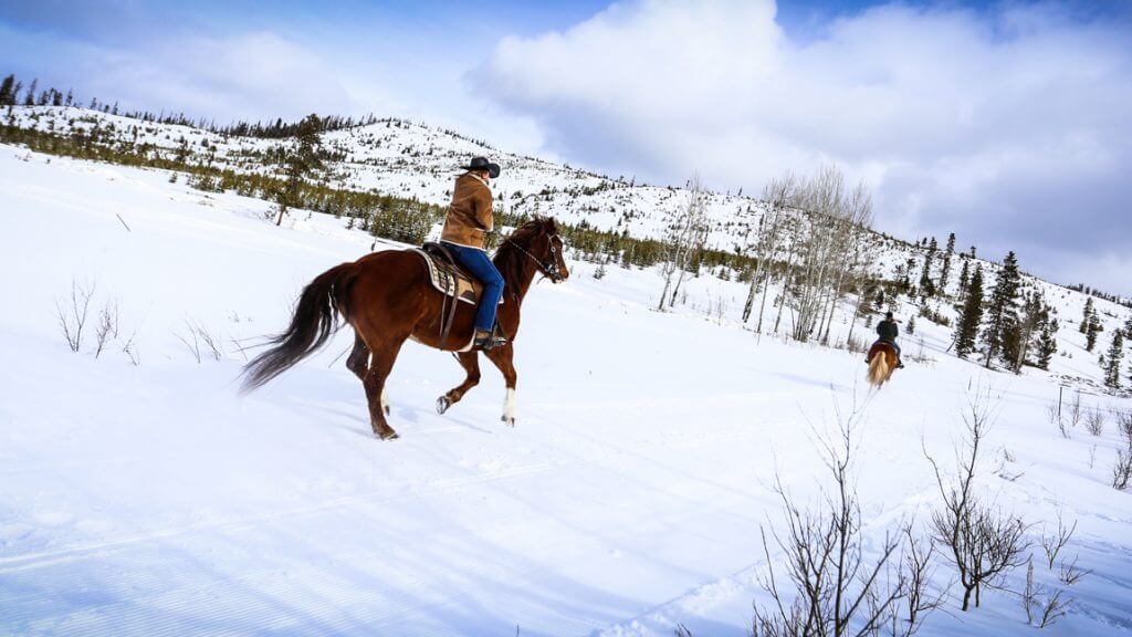 Winter Horseback Riding in Colorado