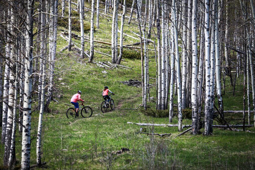 Mountain Biking in Colorado