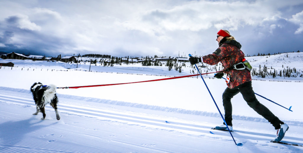 Colorado Mountain Skijoring