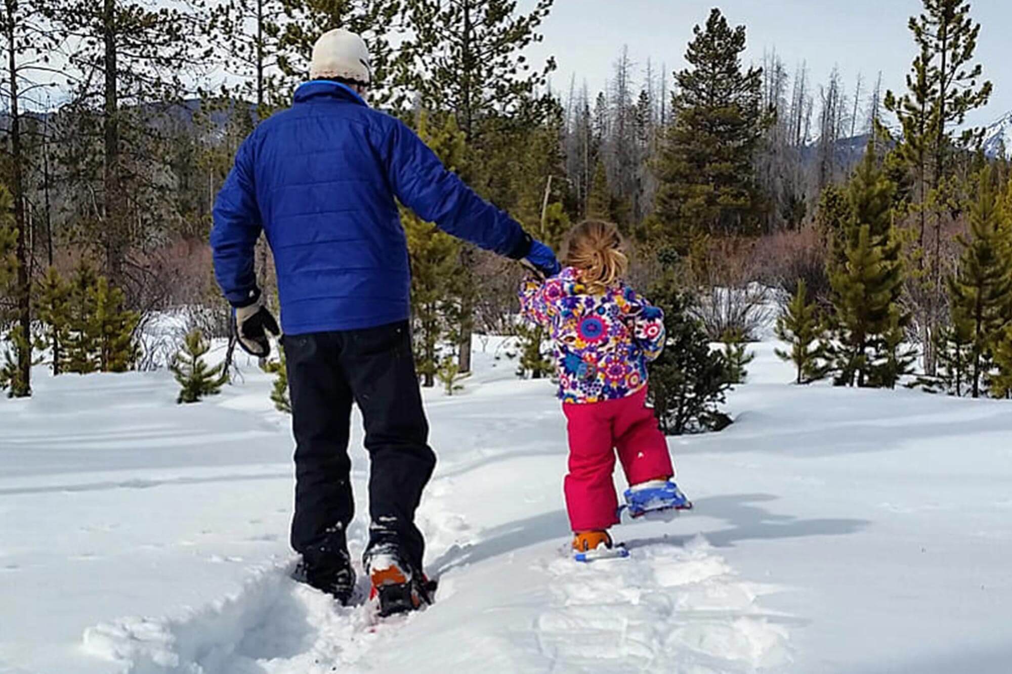 Colorado Mountain Snowshoeing