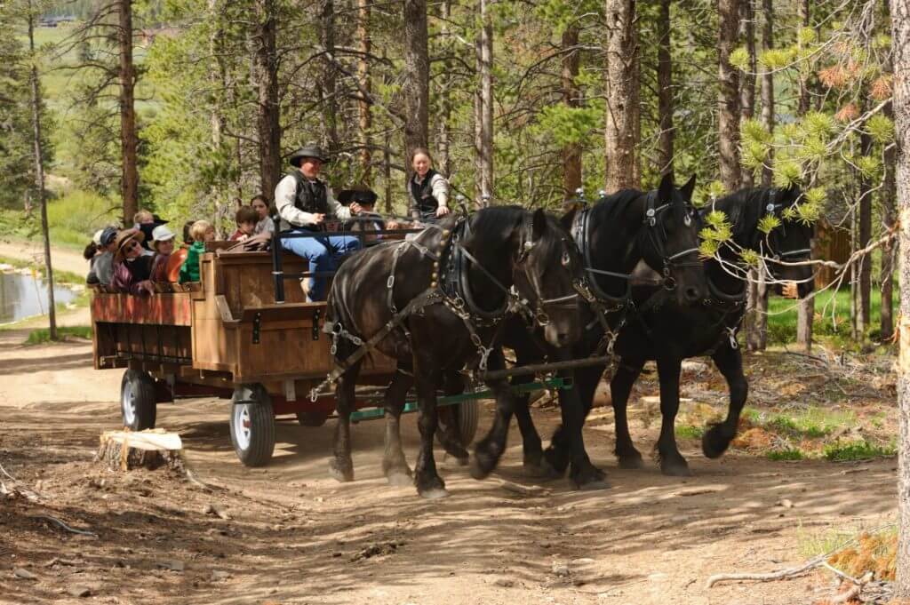 Summer Horse-Drawn Wagon Ride