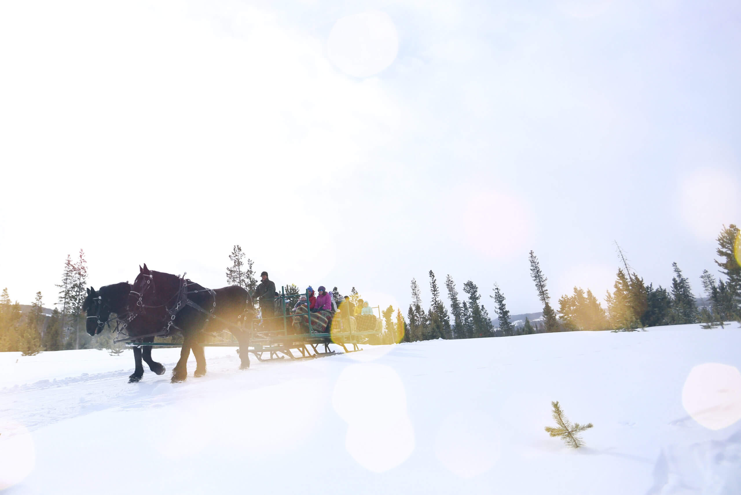 Devil's Thumb Ranch New Year's Eve 2020