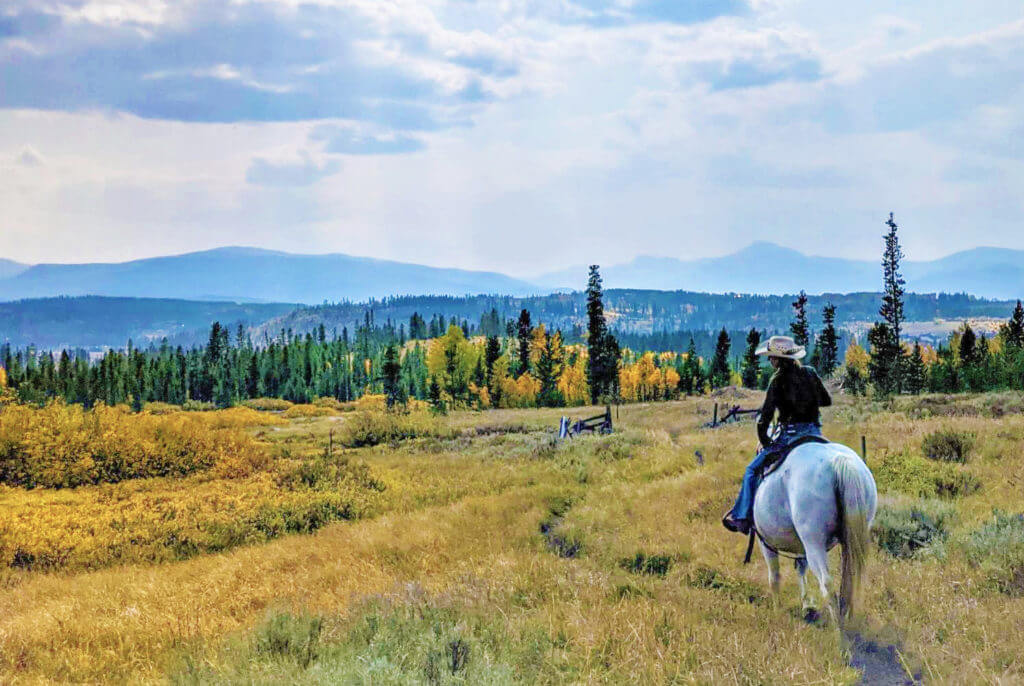 Colorado Fall Mountain Horseback Riding