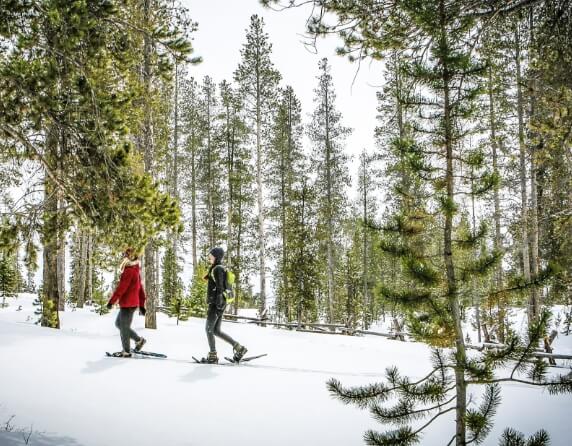 Colorado Mountain Snowshoeing