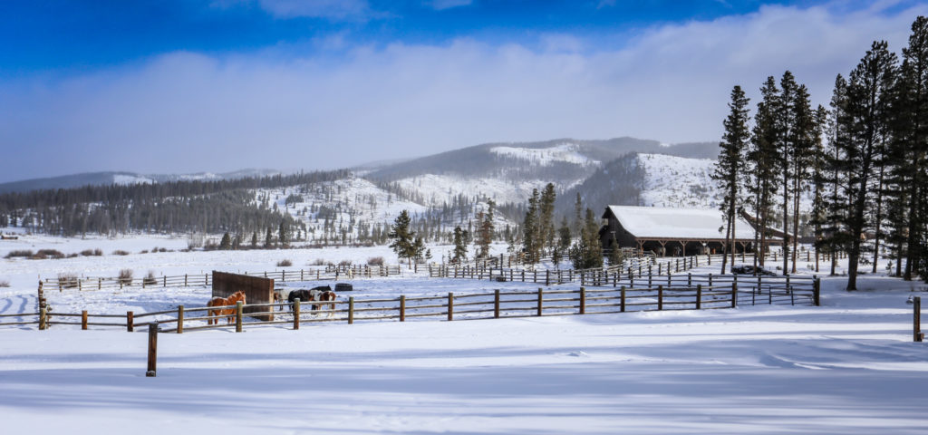 Winter Stables