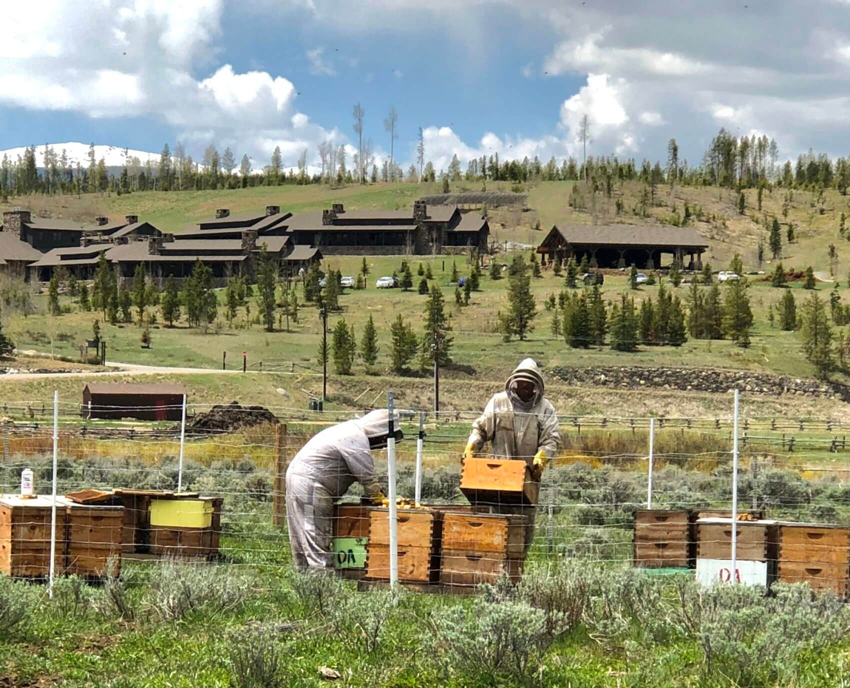 Colorado Honey & Beekeeping Devil's Thumb Ranch Resort