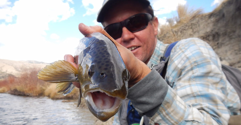 Fly Fishing in Colorado Mountains